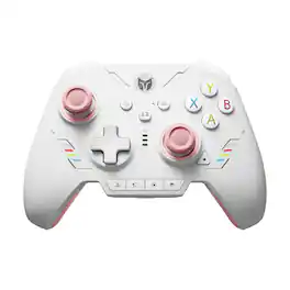 BigBig Won - Rainbow 2 SE Bluetooth Wireless Controller with Motion Control Aim, Hall Effect Triggers for Switch, PC - Pink