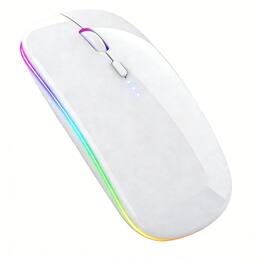 SKRAN - RGB Backlit Slim Rechargeable Silent Mouse, Bluetooth/2.4G Dual Mode, Adjustable DPI for Laptop, PC, Mac, iPad - Wireless - White