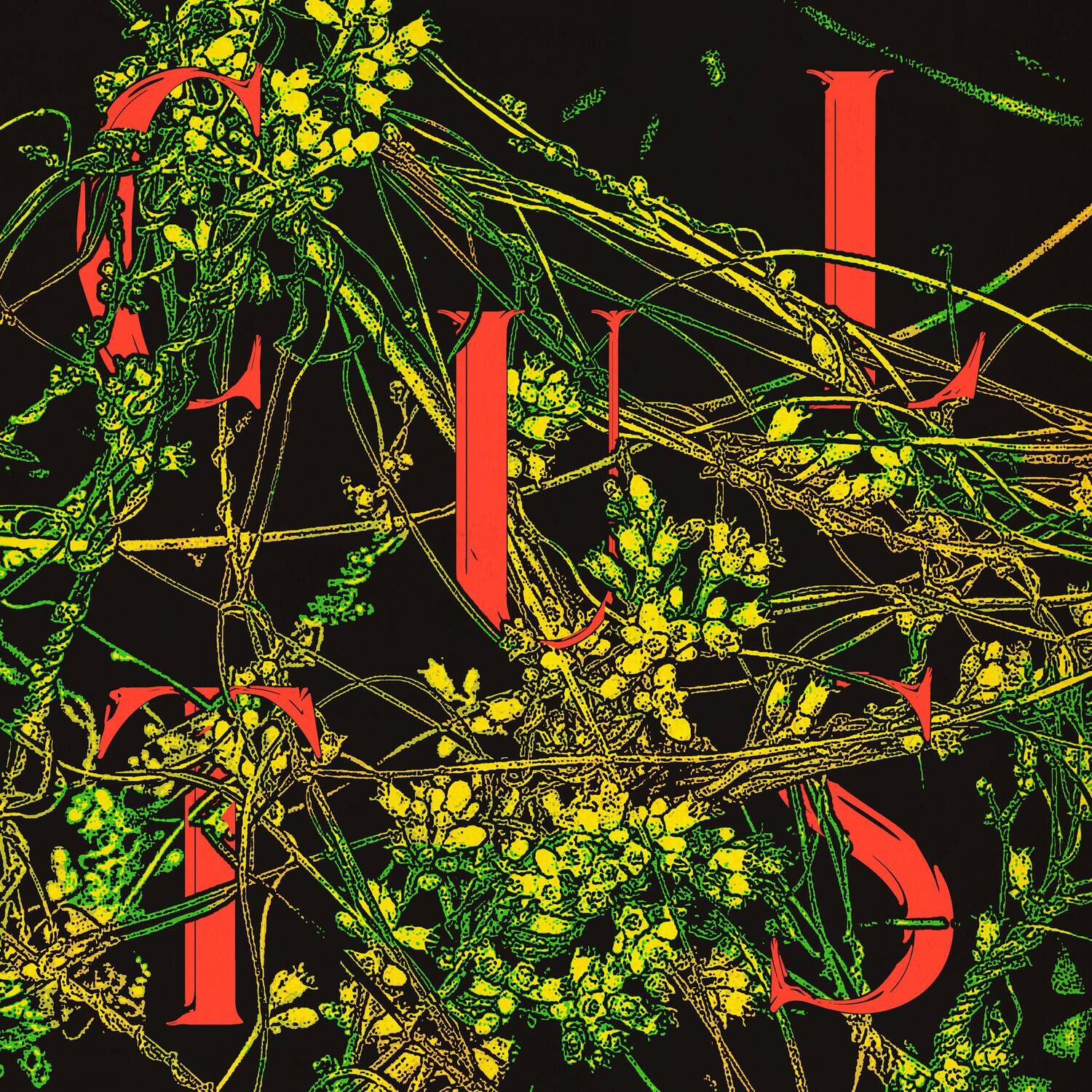 Front. Cults - Host   - VINYL LP.