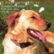 Front Standard. A Day in the Life of Lucky: Classical Music for You and Your Dog [CD].