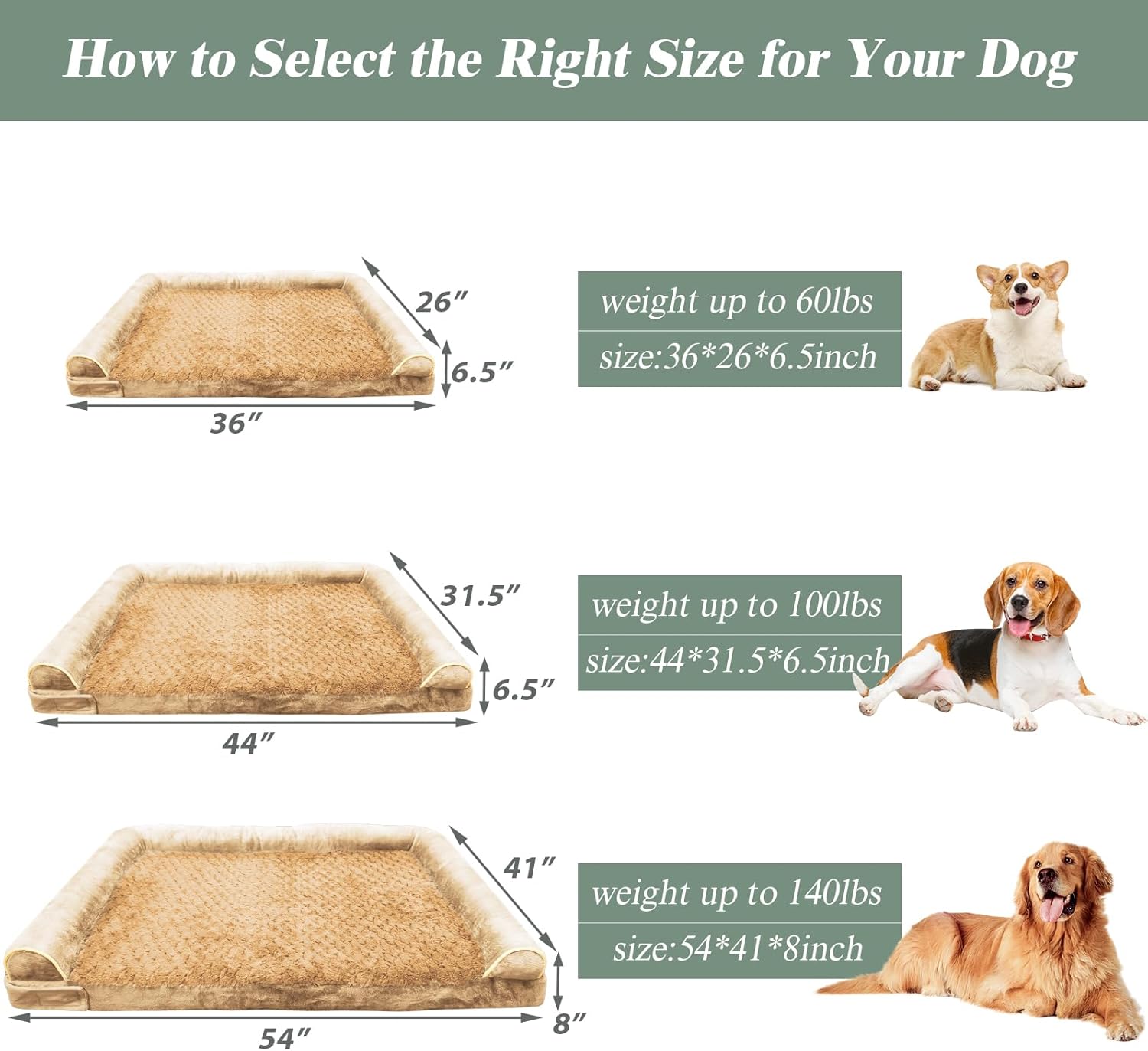 How to Select the Right Size for Your Dog

26" weight up to 60lbs size:36*26*6.5inch
36" 6.5"

31.5" weight to 100lbs up size:44*31.5*6.5inch
44" 6.5"

41" weight up to 140lbs size:54*41 *8inch
54" 8"