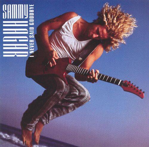  I Never Said Goodbye [CD]