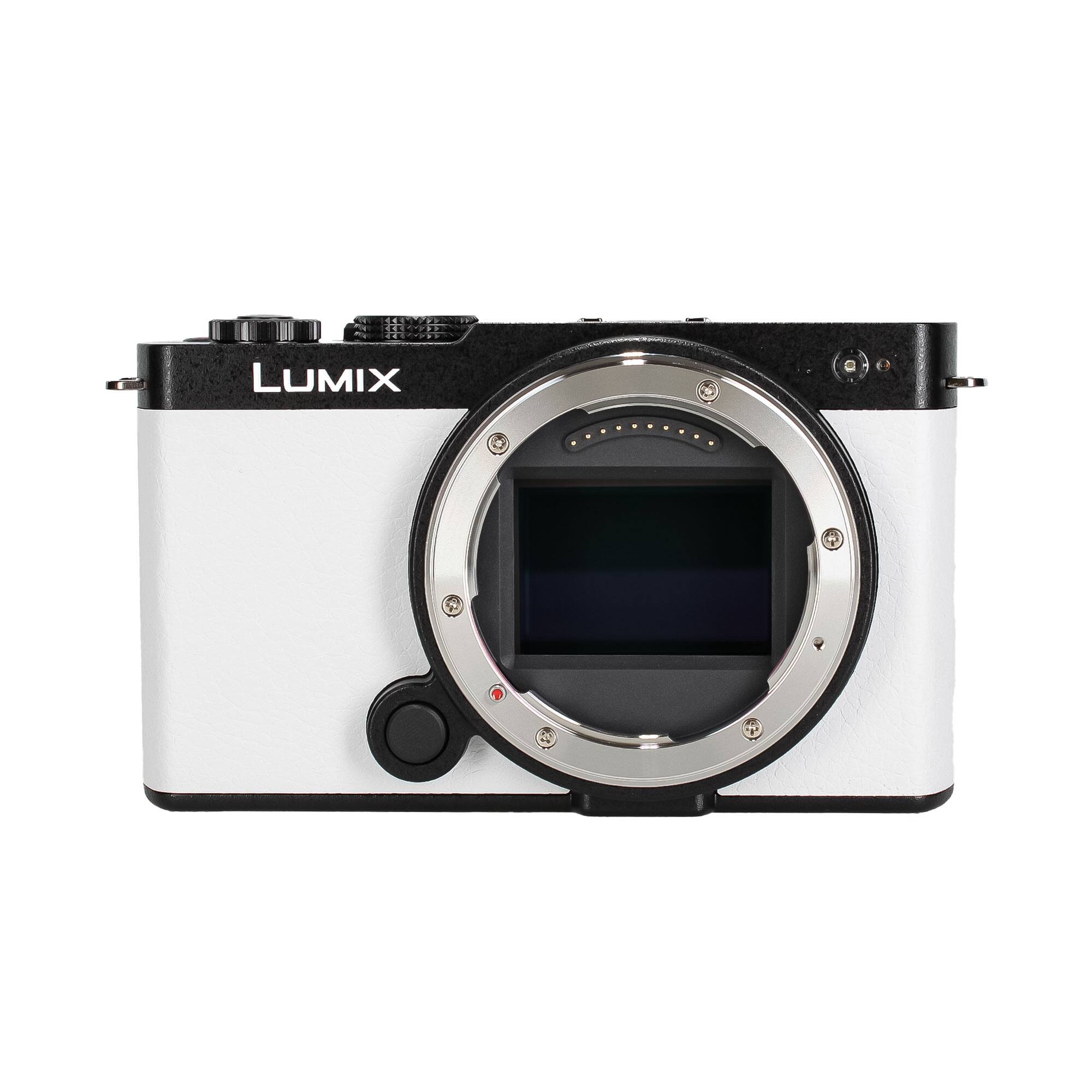 Panasonic LUMIX S9 Mirrorless Camera, (International Version