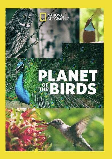 Planet Of The Birds - DVD