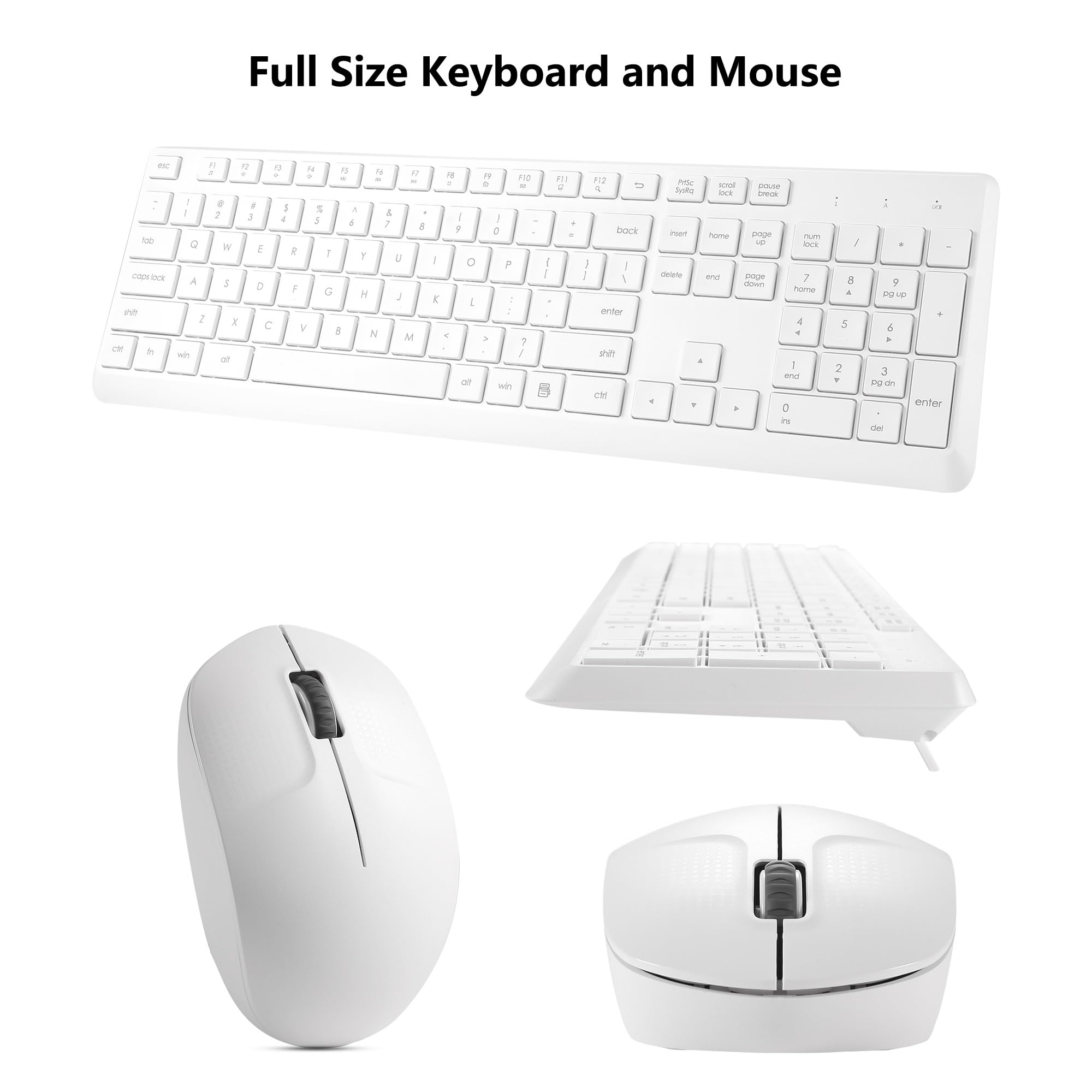 Full Size Keyboard and Mouse

Full Size Keyboard and Mouse