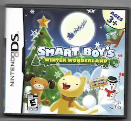 Smart Boys Winter Wonderland - Nintendo DS - Nintendo DS