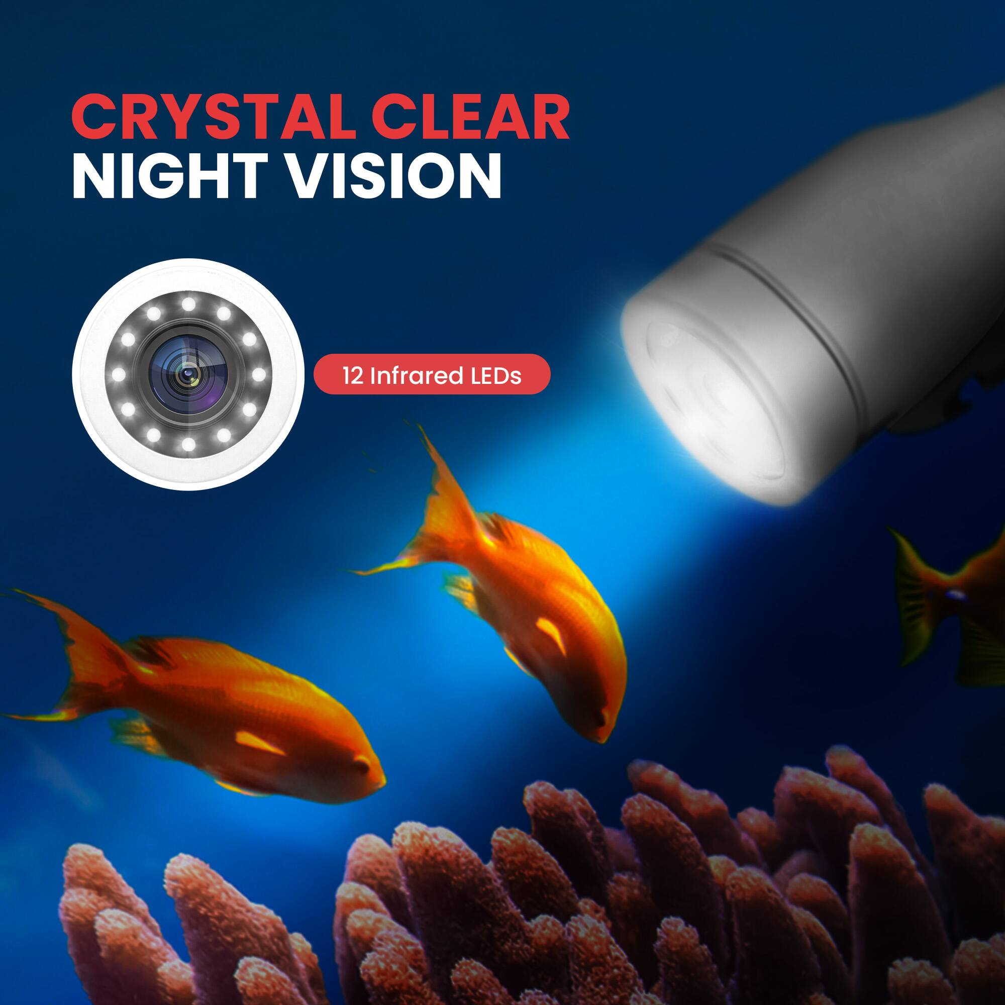 CRYSTAL CLEAR NIGHT VISION  
12 Infrared LEDs
