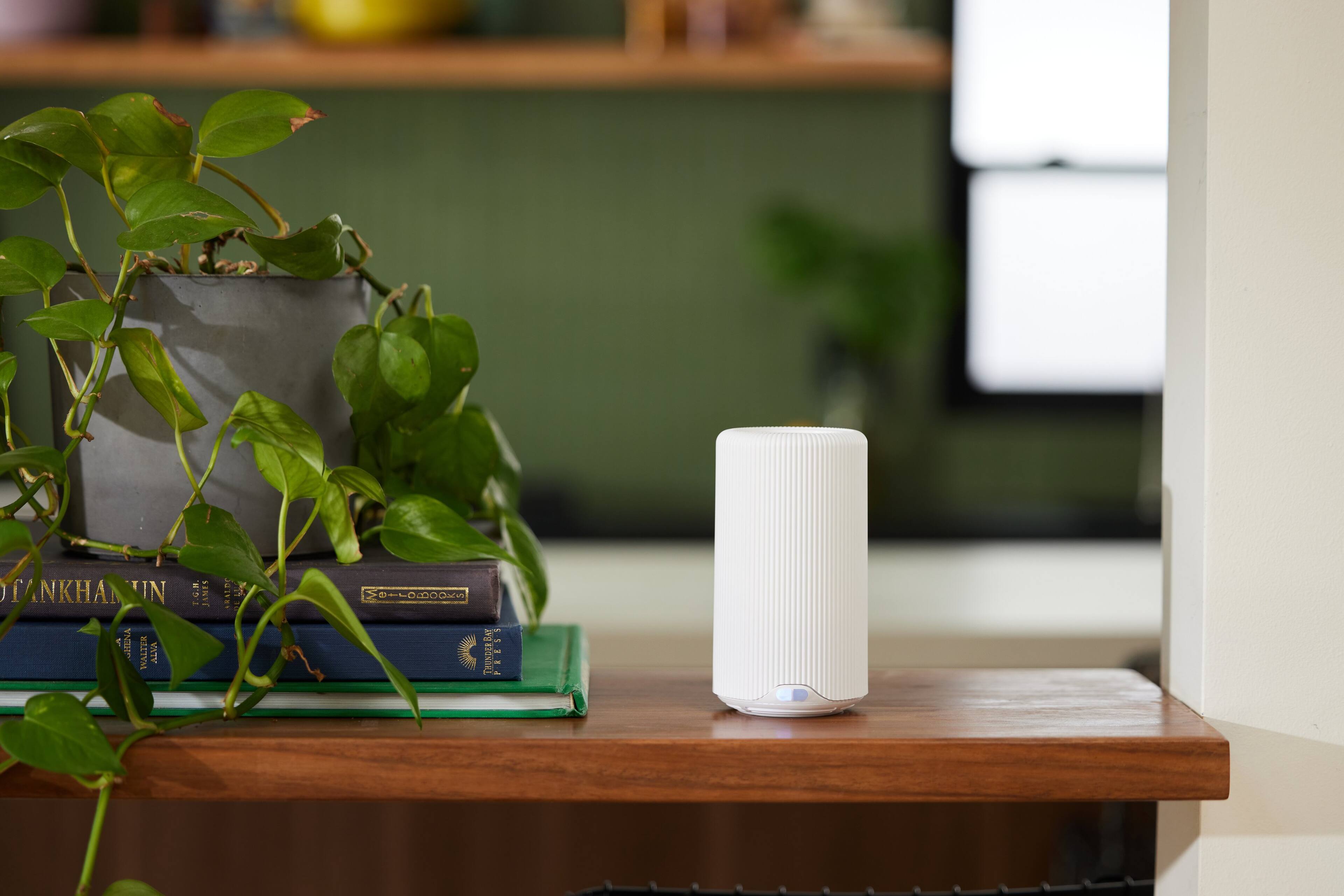 The text on the image reads "Ankhka In 1 Gh Walter Vatv 1.M. Sinve Jutvav 1. DesonBer PRES."