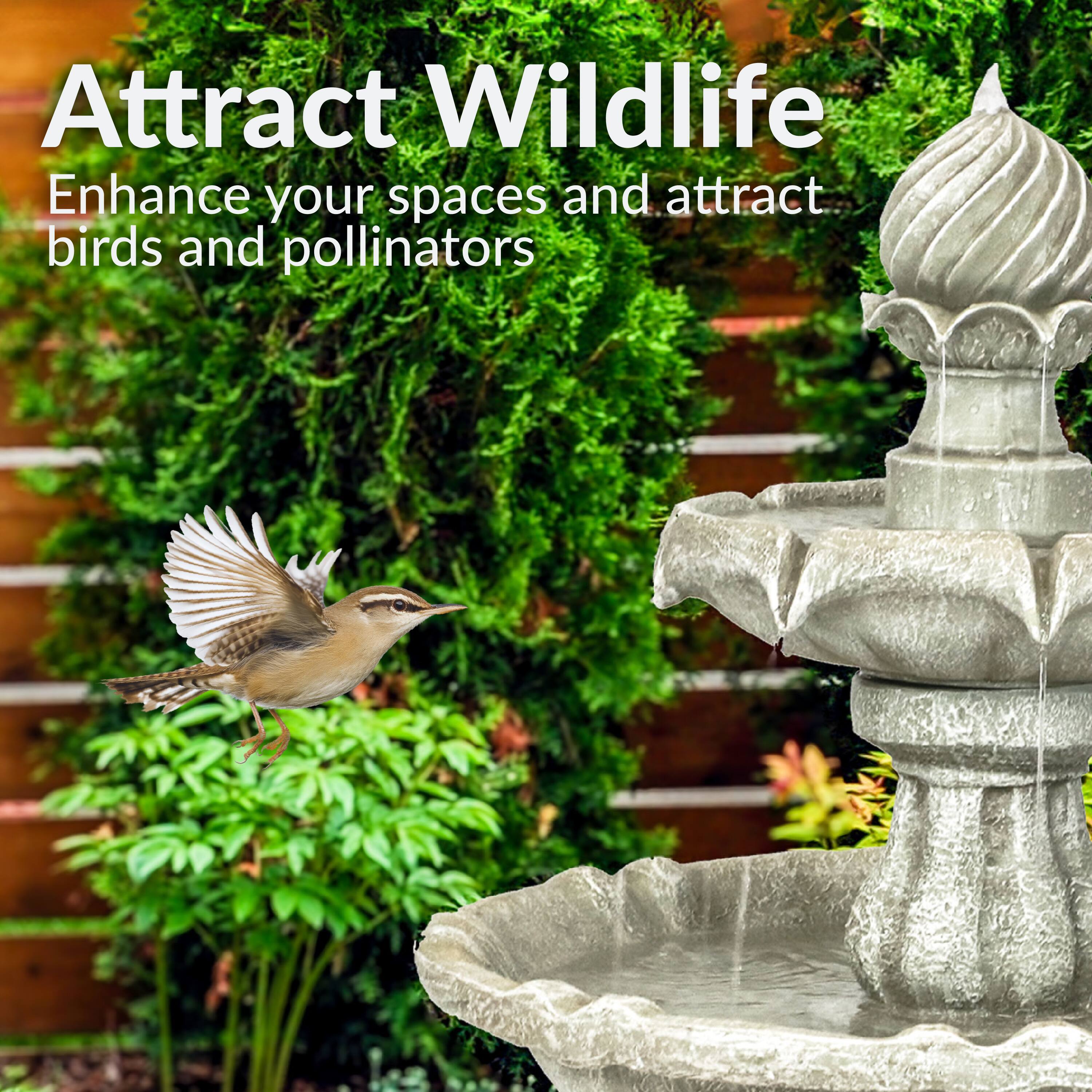 Attract Wildlife  
Enhance your spaces and attract birds and pollinators