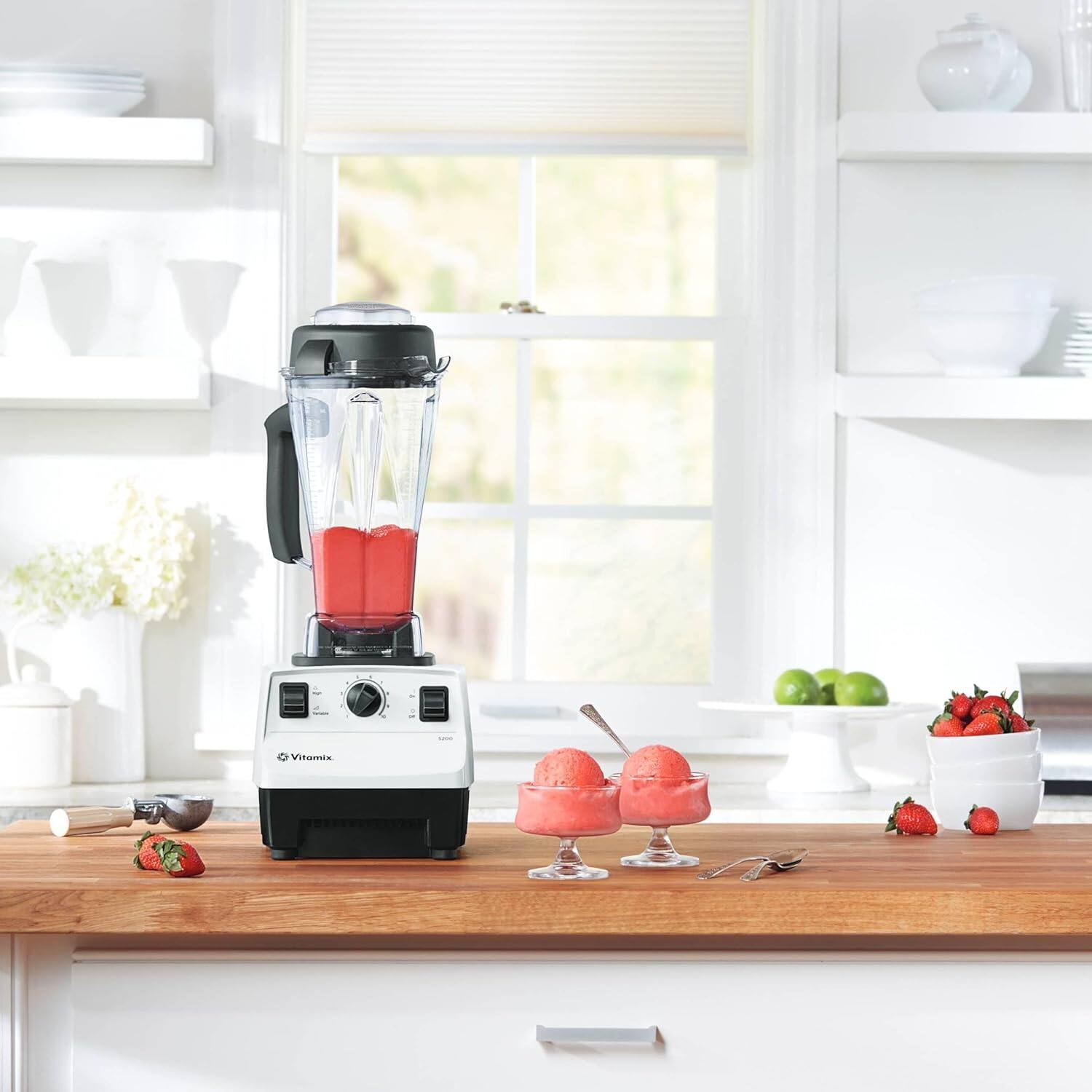 Vitamix 5200 Blender, Professional Grade, Stainless Steel Blades