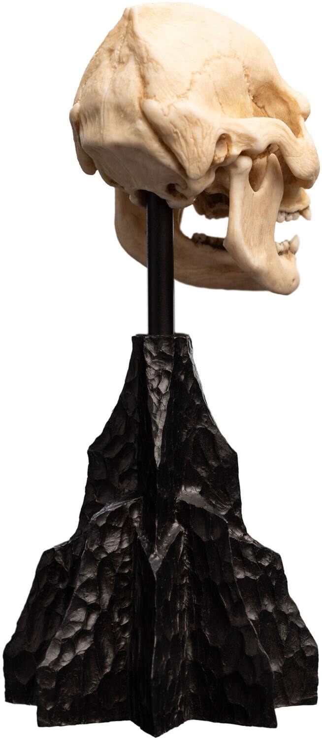 Alt View 4. Weta Workshop - WETA Workshop Polystone - The Lord of the Rings Trilogy - Skull of Lurtz Polystone Statue   - COLLECTIBLES - Multicolor.
