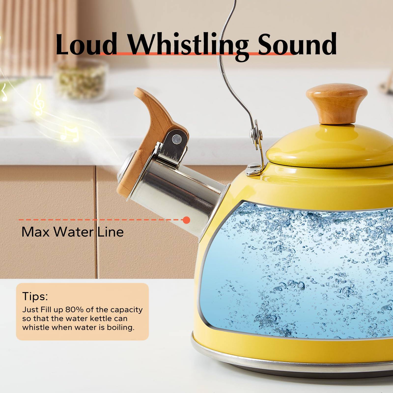 Loud Whistling Sound

Max Water Line

Tips:
Just Fill up 80% of the capacity so that the water kettle can whistle when water is boiling.
