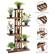 The image features a wooden shelf with a variety of potted plants on it. The shelf is made of sturdy fir wood and has a high and low layer design. The plants are waterproof and moisture-proof, ensuring they remain healthy and vibrant. The shelf is a great way to display and care for your plants in a stylish and functional manner.