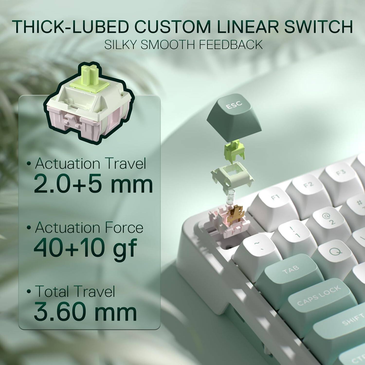 THICK-LUBED CUSTOM LINEAR SWITCH SILKY SMOOTH FEEDBACK

- Actuation Travel 2.0+5 mm
- Actuation Force 40+10 gf
- Total Travel 3.60 mm

ESC
F1
F2
F3
# 1
2 1 \ TAB CAPS LOCK SHIFT