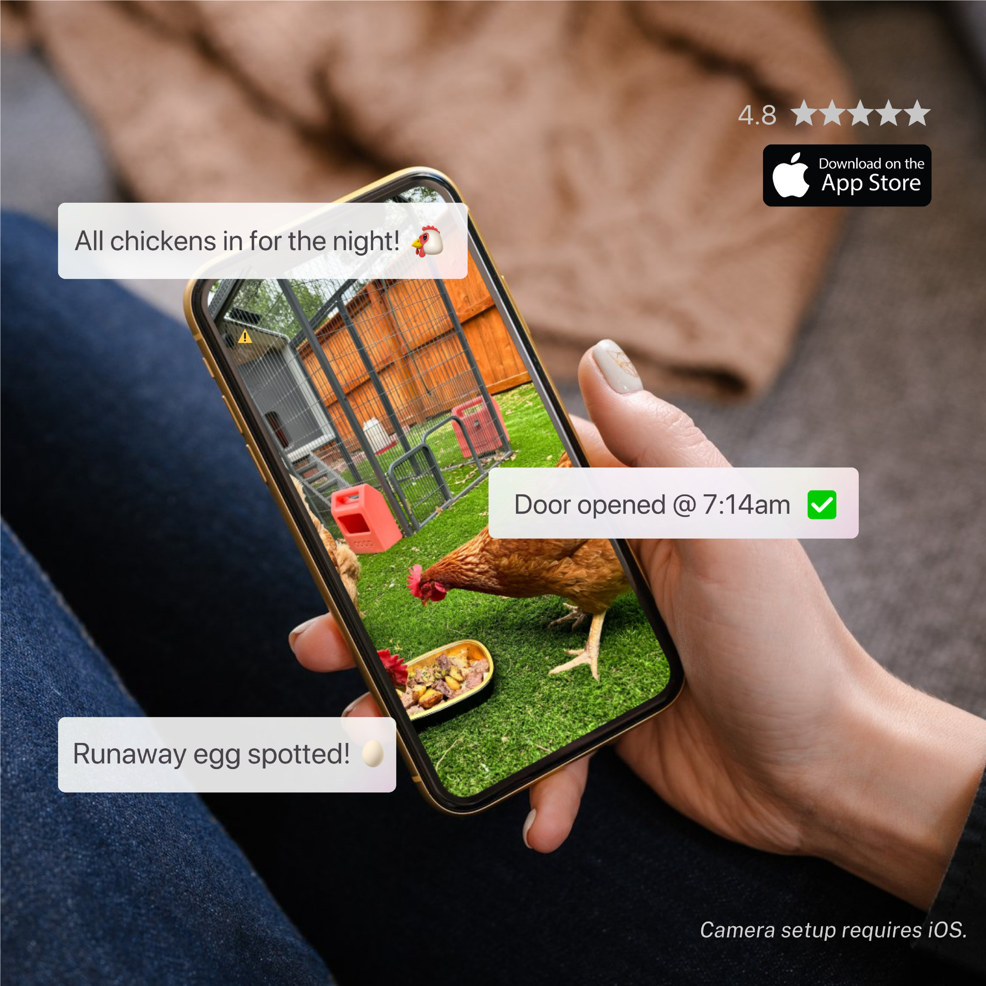 4.8  
Download on the App Store  

All chickens in for the night! 🐔  

Door opened @ 7:14am ✅  

Runaway egg spotted! 🥚  

Camera setup requires iOS.