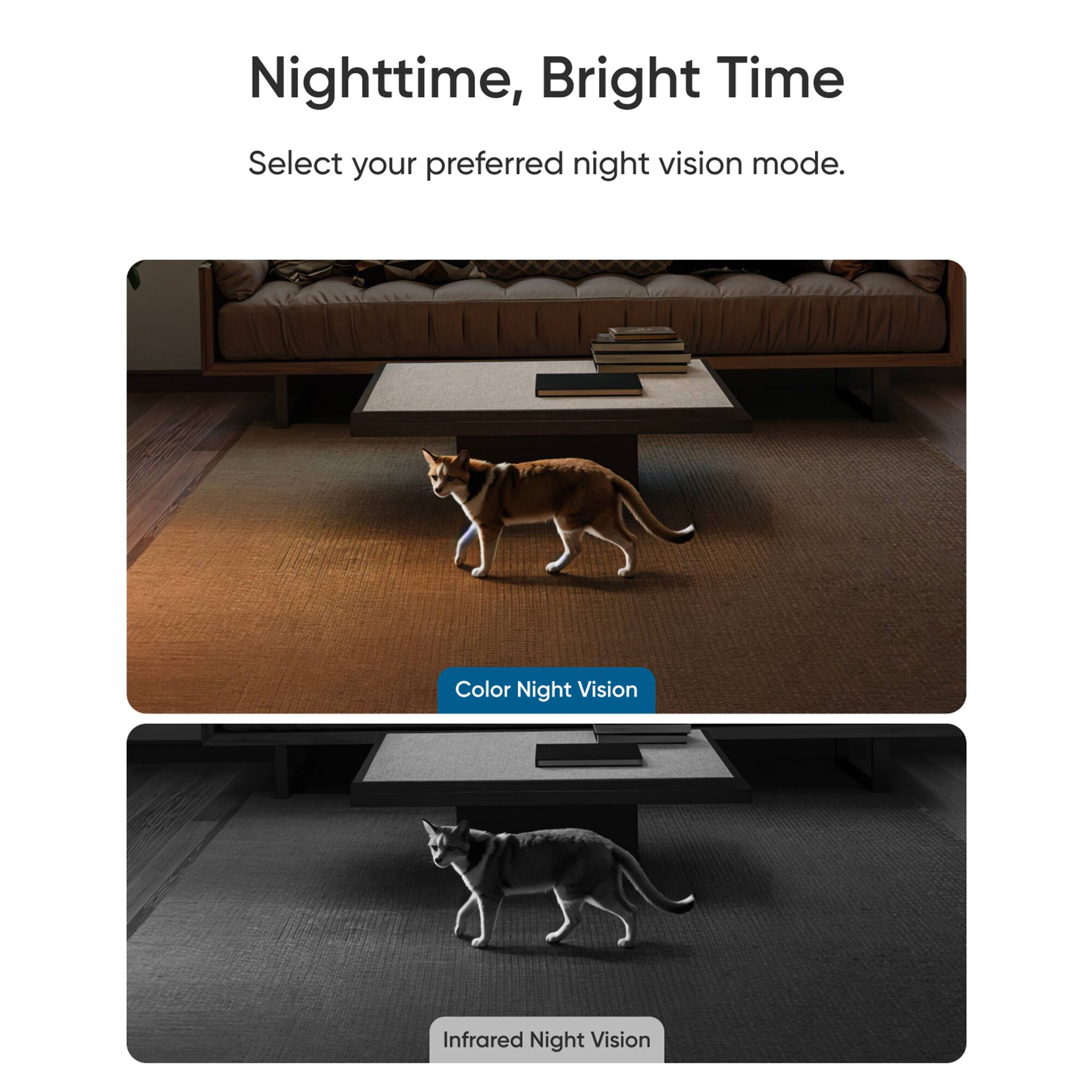 Nighttime, Bright Time: Select your preferred night vision mode. Color Night Vision, Infrared Night Vision.