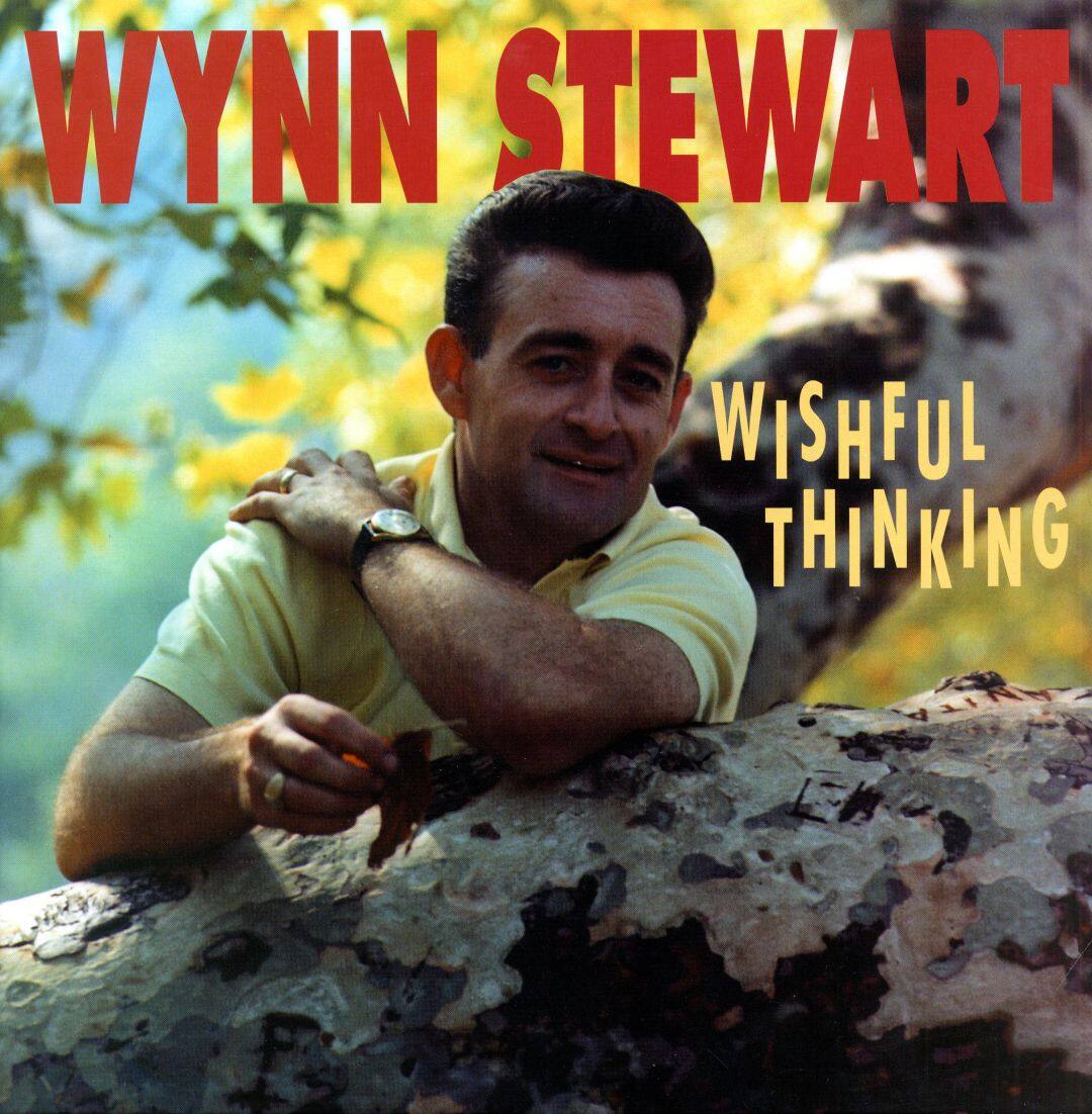 Best Buy: Wishful Thinking [CD]