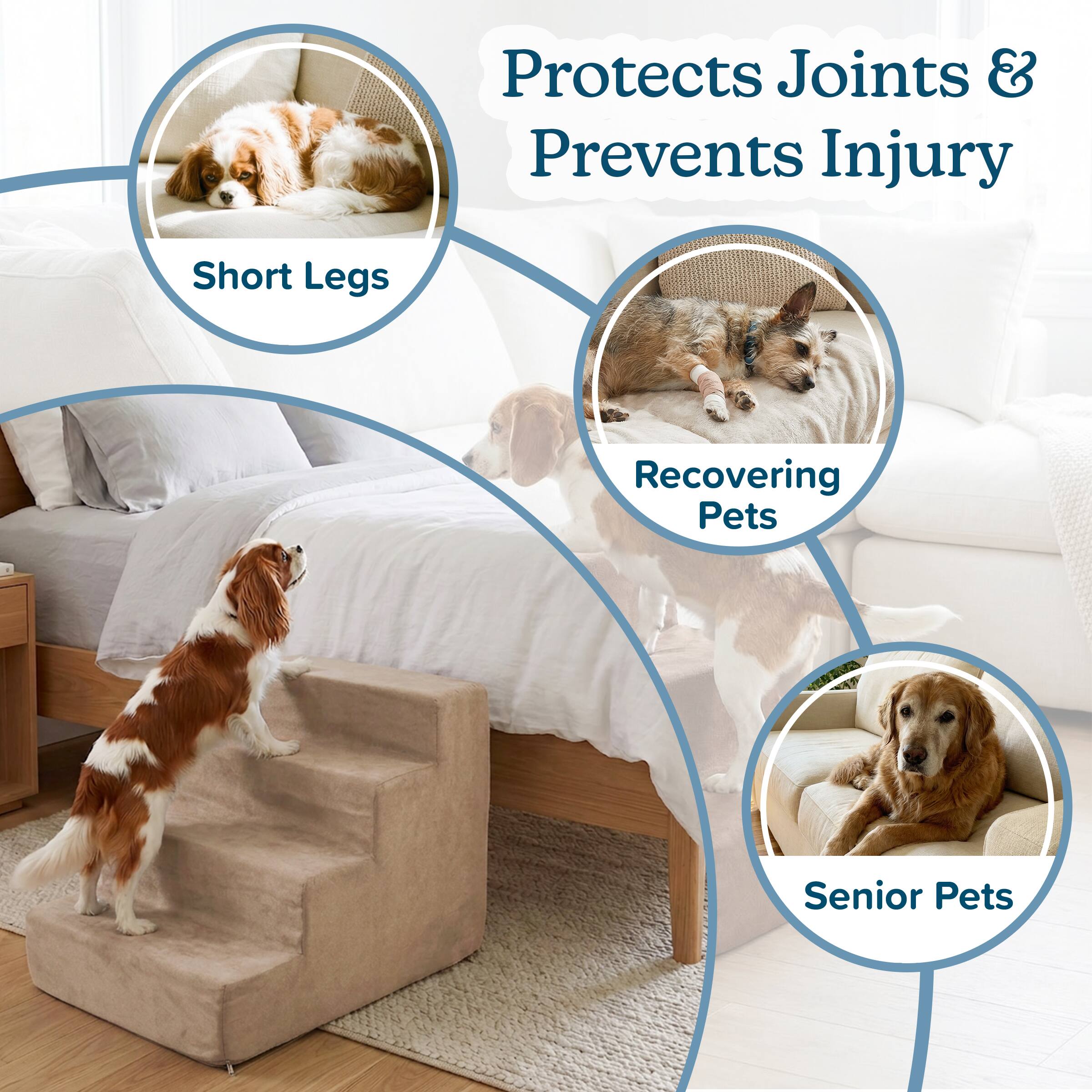 Protects Joints & Prevents Injury  
- Short Legs  
- Recovering Pets  
- Senior Pets