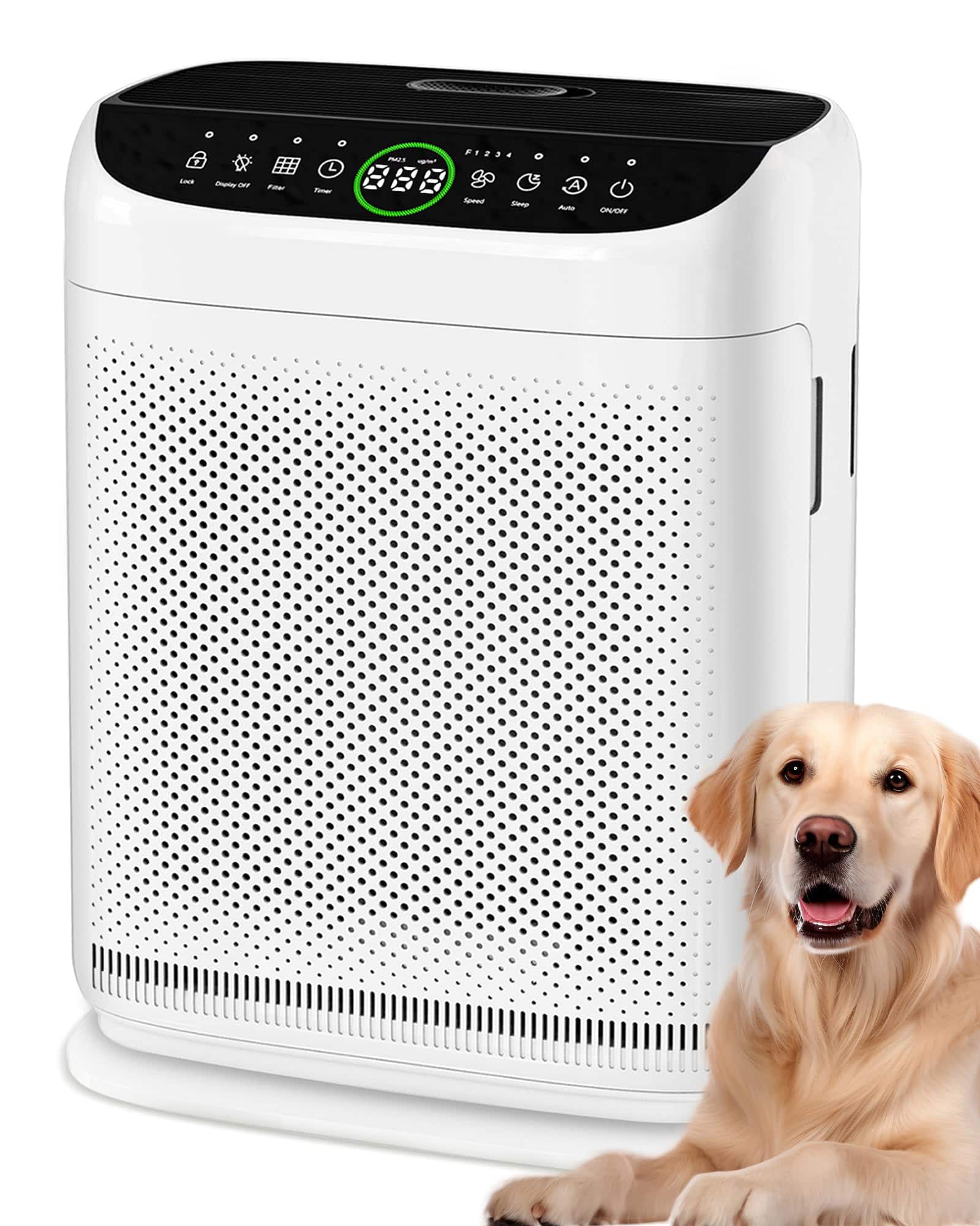 GlowWise - Pet Air Purifier for Large Room up to 2500 Ft², HEPA Filter with Washable Pre-Filter, Dual Intake & Remote - White