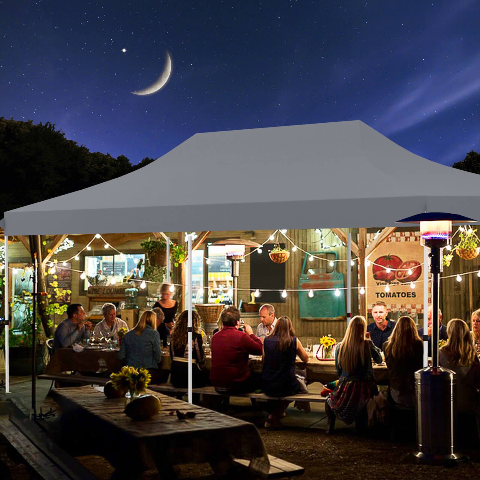 VISE LOUNGE, VINE TOMATOES