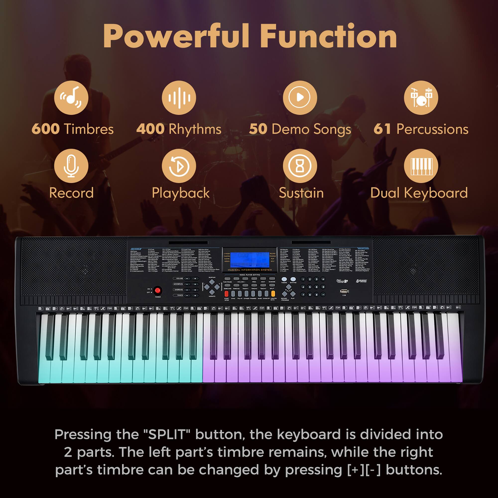 Powerful Function

- 600 Timbres
- 400 Rhythms
- 50 Demo Songs
- 61 Percussions
- Record
- Playback
- Sustain
- Dual Keyboard

Pressing the "SPLIT" button, the keyboard is divided into 2 parts. The left part's timbre remains, while the right part's timbre can be changed by pressing [+1][-] buttons.