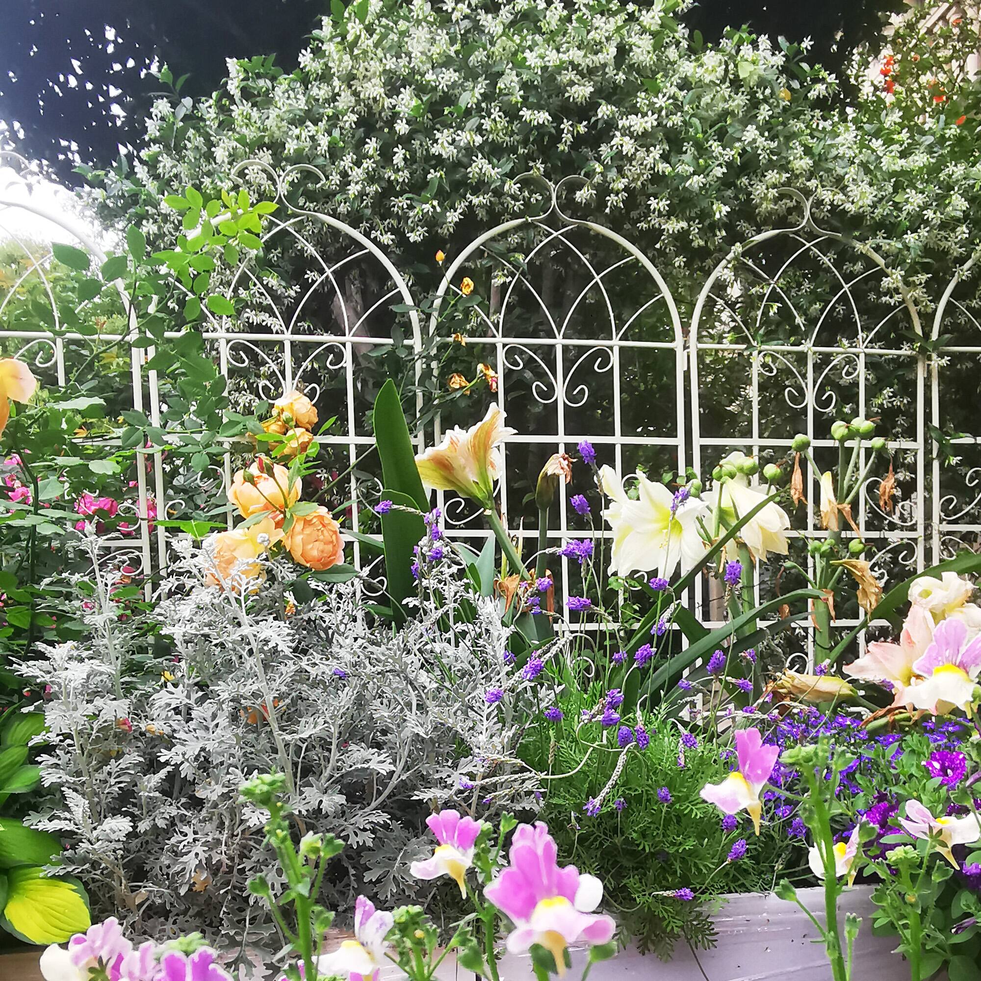 Left. Loheer - Rustproof Metal Garden Trellis 4 Pack 5.9 ft x 1.64 ft for Climbing Plants Outdoor Flower Support - Cream White.