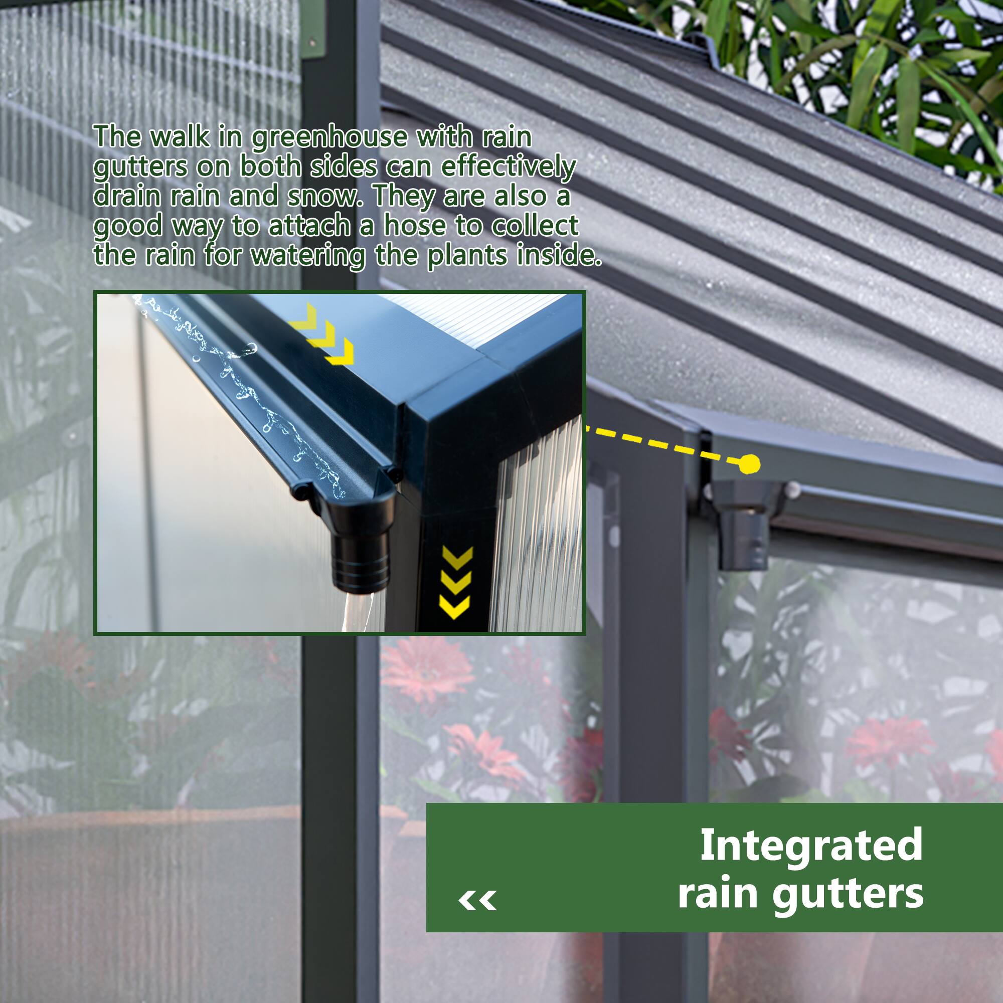 The walk in greenhouse with rain gutters on both sides can effectively drain rain and snow. They are also a good way to attach a hose to collect the rain for watering the plants inside. Integrated rain gutters