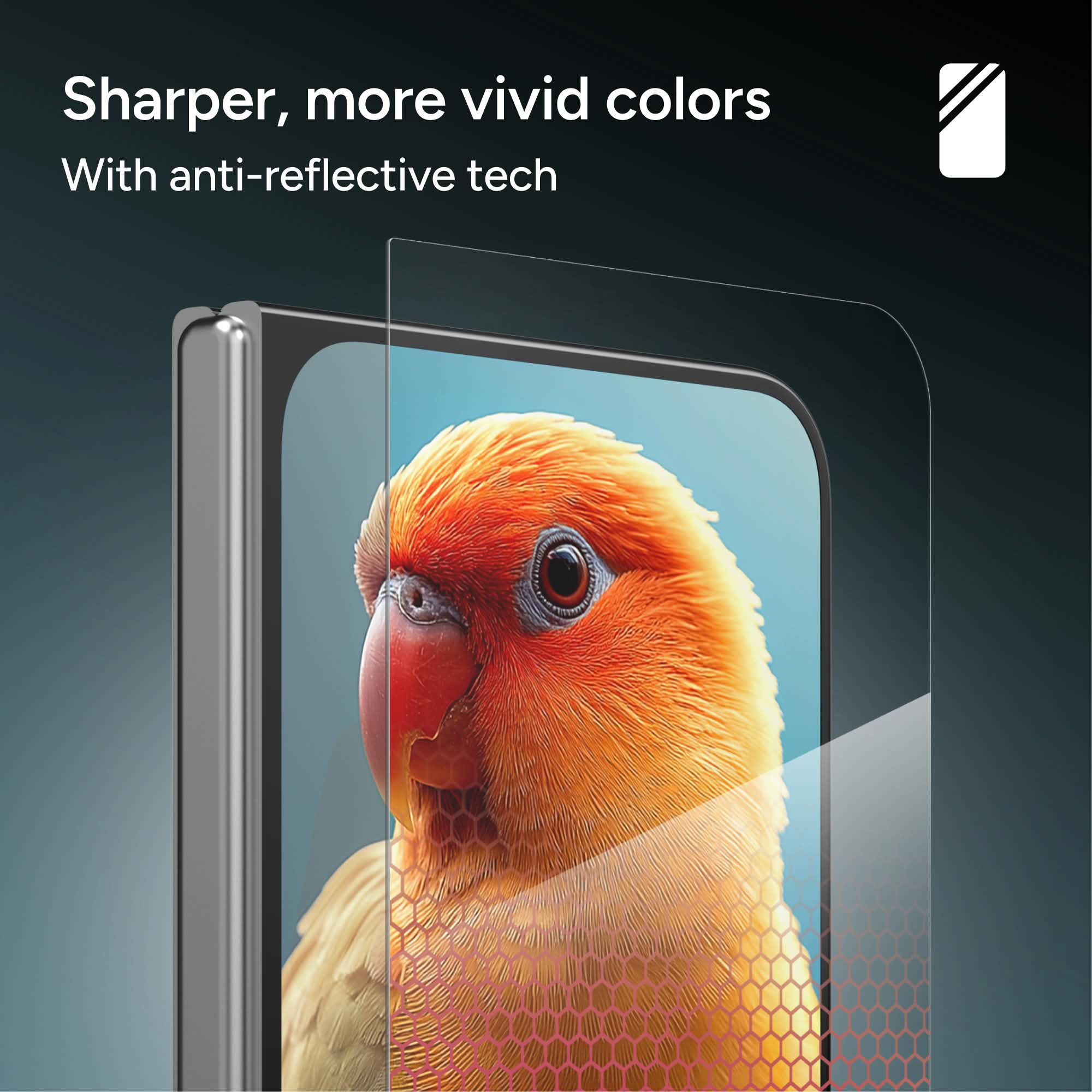 Sharper, more vivid colors  
With anti-reflective tech
