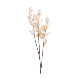BreeBe - Seeded Eucalyptus Stem (Set of 2) - Beige