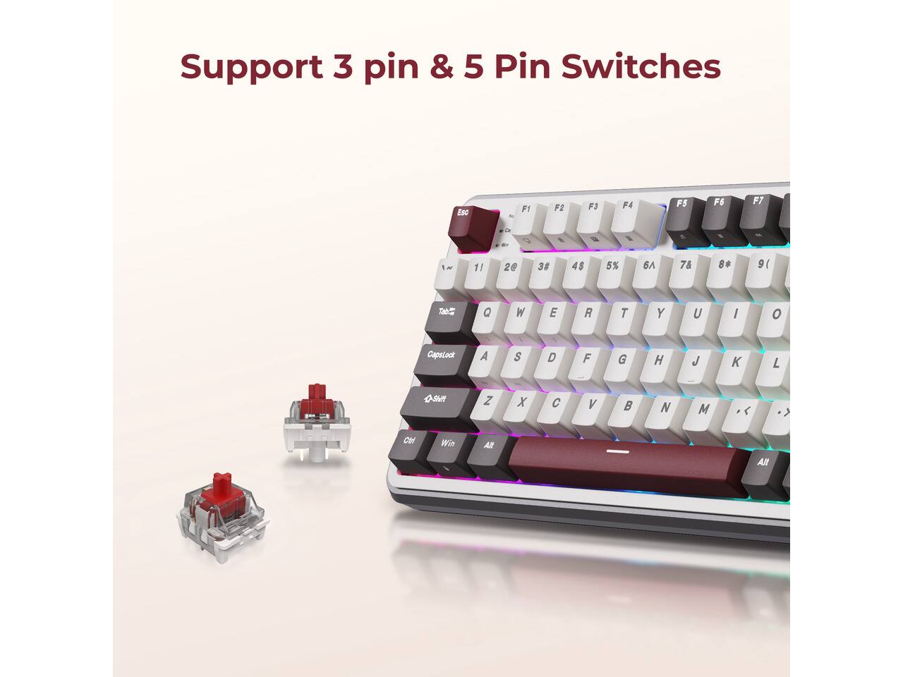 Support 3 pin & 5 Pin Switches

ESC
F1
F2
F3
F4
F5
F6
F7
VIIIT
1!
2@
3#
4$
5%
6
7&
8*
9(
Tab....
Q
W
E
R
T
Y
U
/
o
CapsLock
A
S
D
F
G
H
J

L
Q-Shift
Z
x

V

N
M
<
Ctrl
Win
Alt
Alt