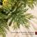 Luxurious & Realistic Branches for an authentic look