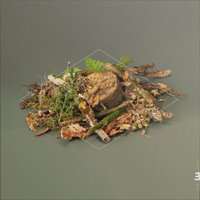 Forest Floor [LP] - VINYL - Front_Zoom