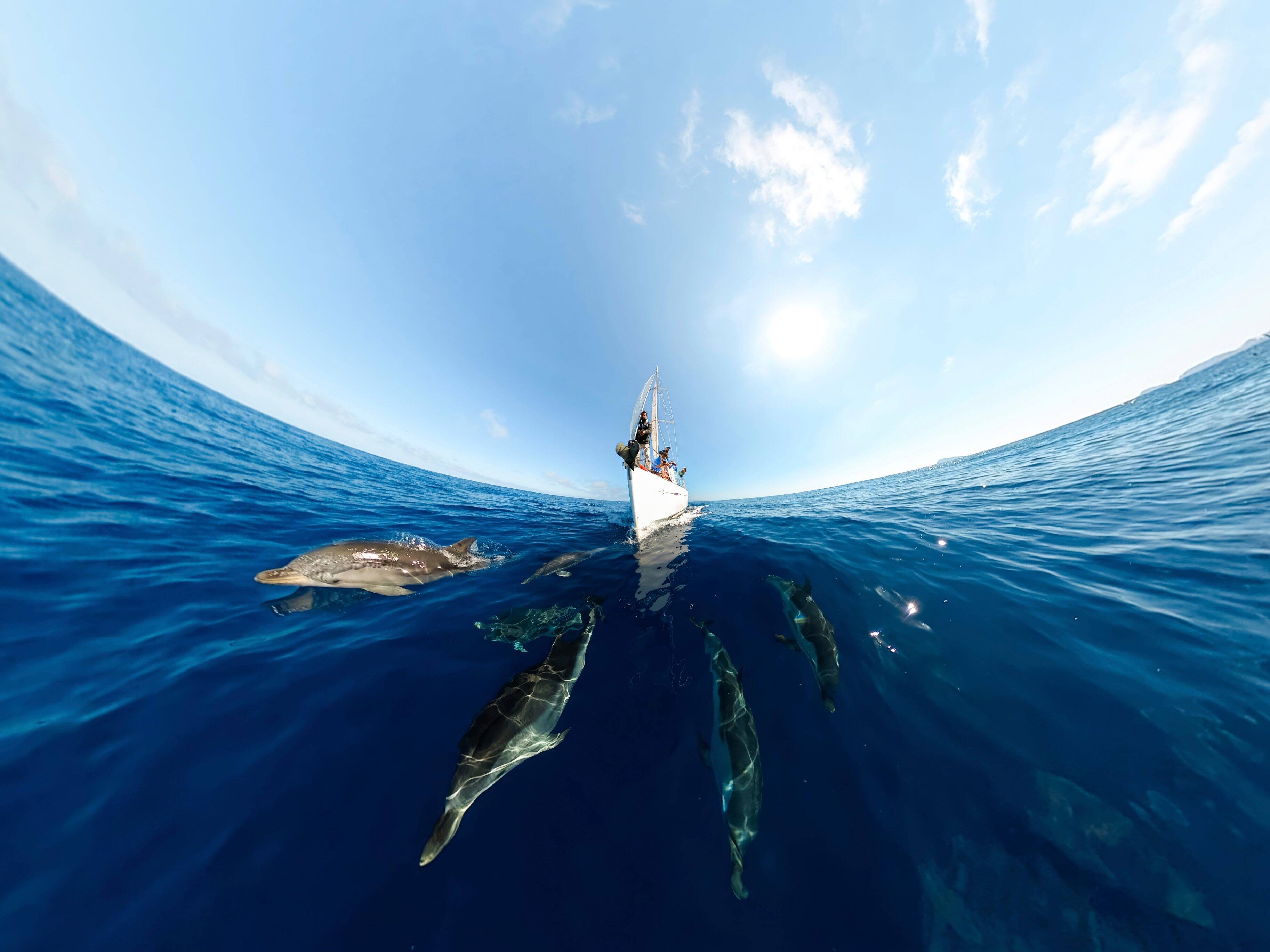 Alt View 3. GoPro - MAX 360 Action Camera - Black.