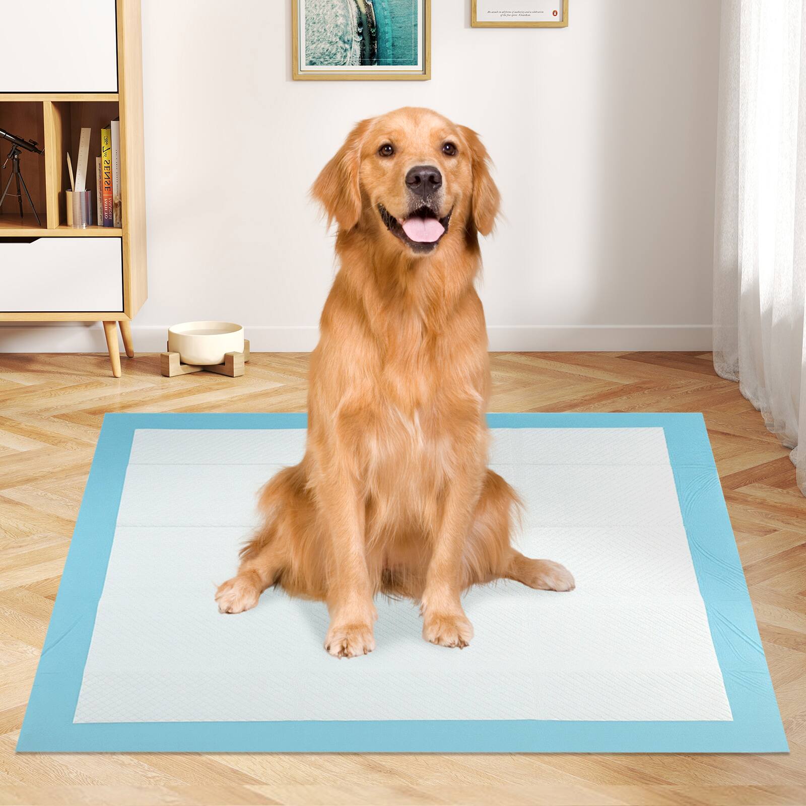 Alt View 1. Gymax - Gymax 36''x 36''(100 Counts) Dog Potty Training Pads Puppy Pee Pads w/ Quick-Drying - Blue.