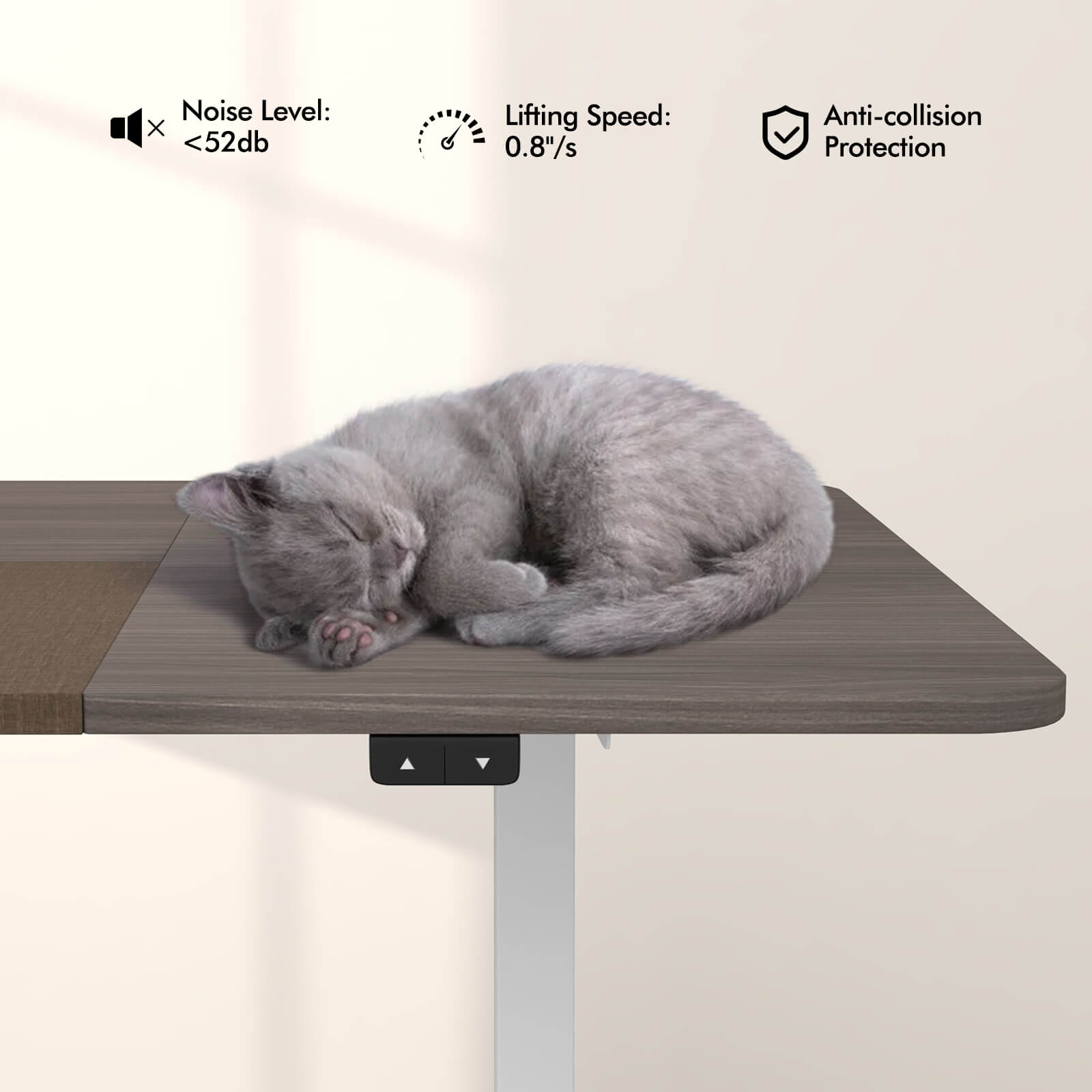 Noise Level: <52db Lifting Speed: 0.8"/s Anti-collision Protection