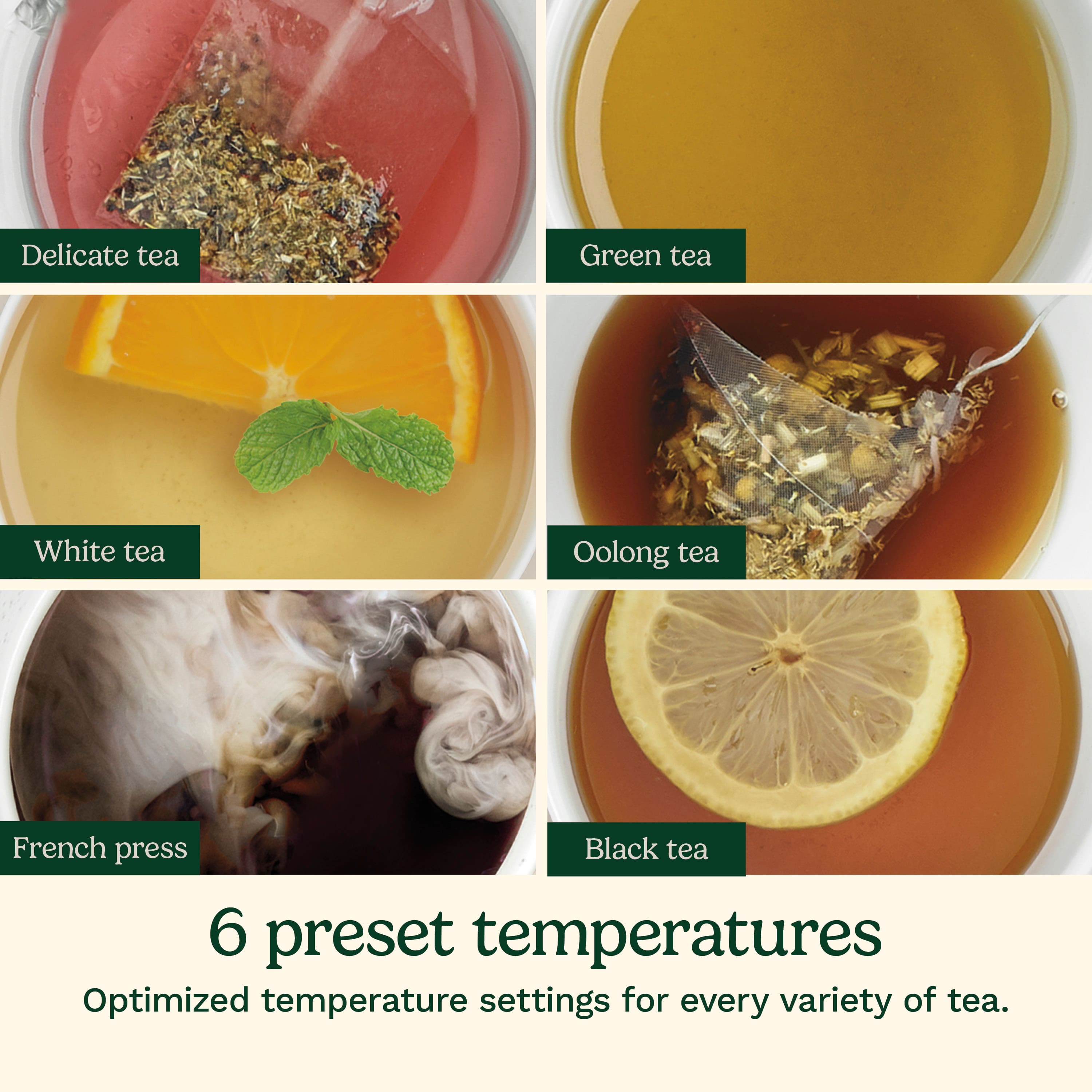 The image shows a variety of teas, each with different temperature settings. The teas include delicate tea, green tea, white tea, oolong tea, and black tea. There are six preset temperature settings, which are optimized for every variety of tea.