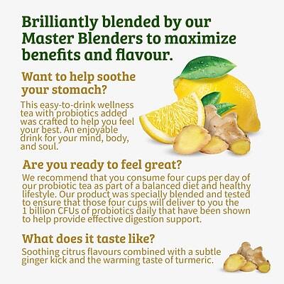 Brilliantly blended by our Master Blenders to maximize benefits and flavour.

Want to help soothe your stomach? This easy-to-drink wellness tea with probiotics added was crafted to help you feel your best. An enjoyable drink for your mind, body, and soul.

Are you ready to feel great? We recommend that you consume four cups per day of our probiotic tea as part of a balanced diet and healthy lifestyle. Our product was specially blended and tested to ensure that those four cups will deliver to you the 1 billion CFUs of probiotics daily that have been shown to help provide effective digestion support.

What does it taste like? Soothing citrus flavours combined with a subtle ginger kick and the warming taste of turmeric.
