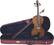 Front Standard. Stentor - 4-String Student Violin - Natural.