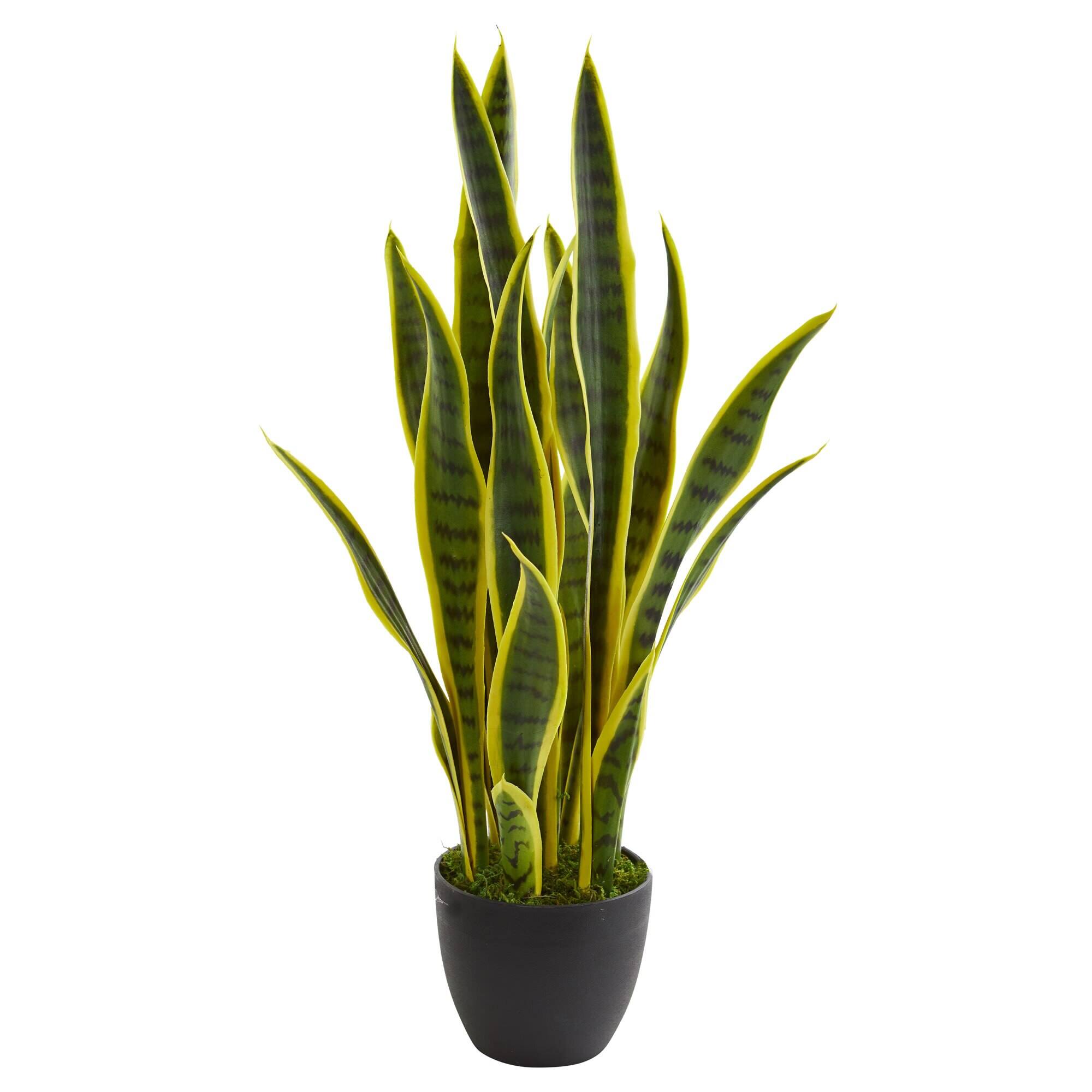 Front. BreeBe - 26" Sansevieria Artificial Plant - Green.