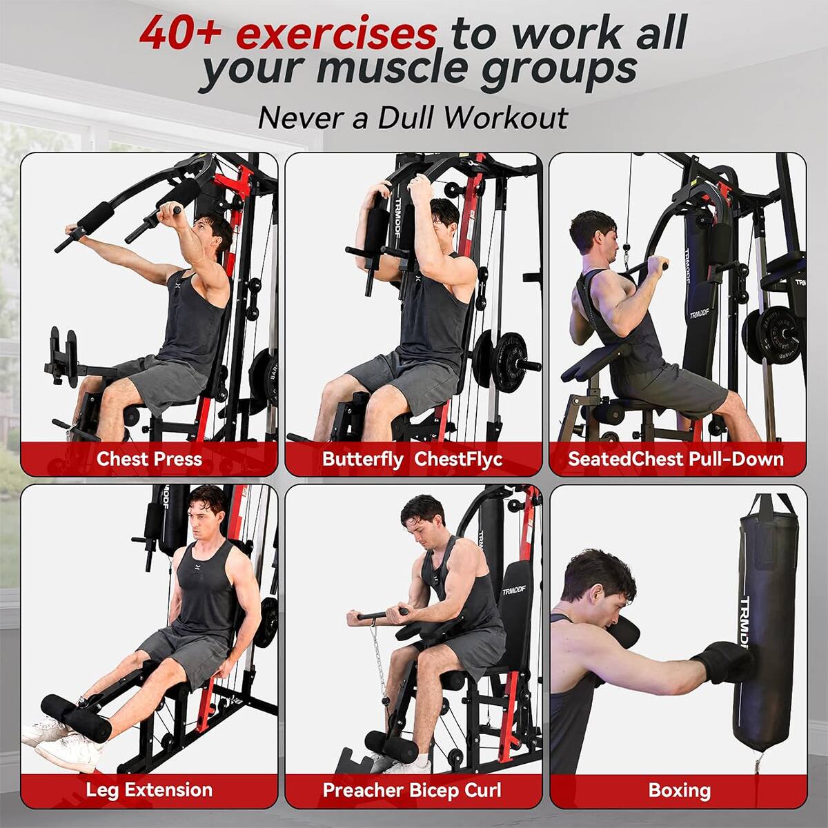 40+ exercises to work all your muscle groups  
Never a Dull Workout

- Chest Press
- Butterfly Chest Fly
- Seated Chest Pull-Down
- Leg Extension
- Preacher Bicep Curl
- Boxing