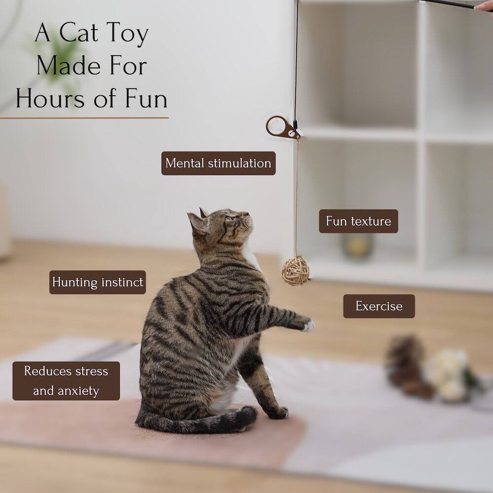 A Cat Toy Made For Hours of Fun

- Mental stimulation
- Fun texture
- Hunting instinct
- Exercise
- Reduces stress and anxiety