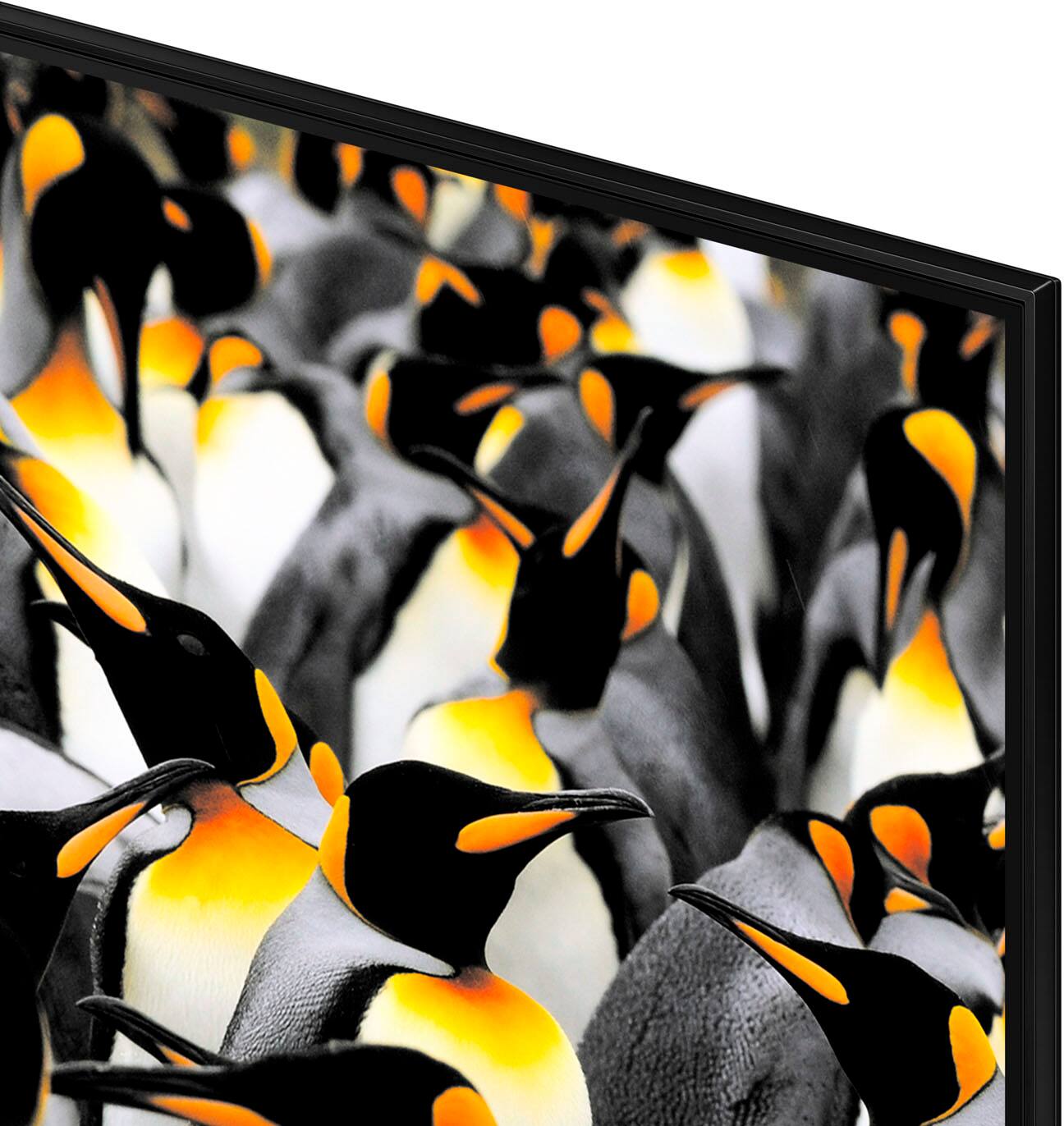 Samsung 75" Q70D Series LED 4K Smart TV display and camera view