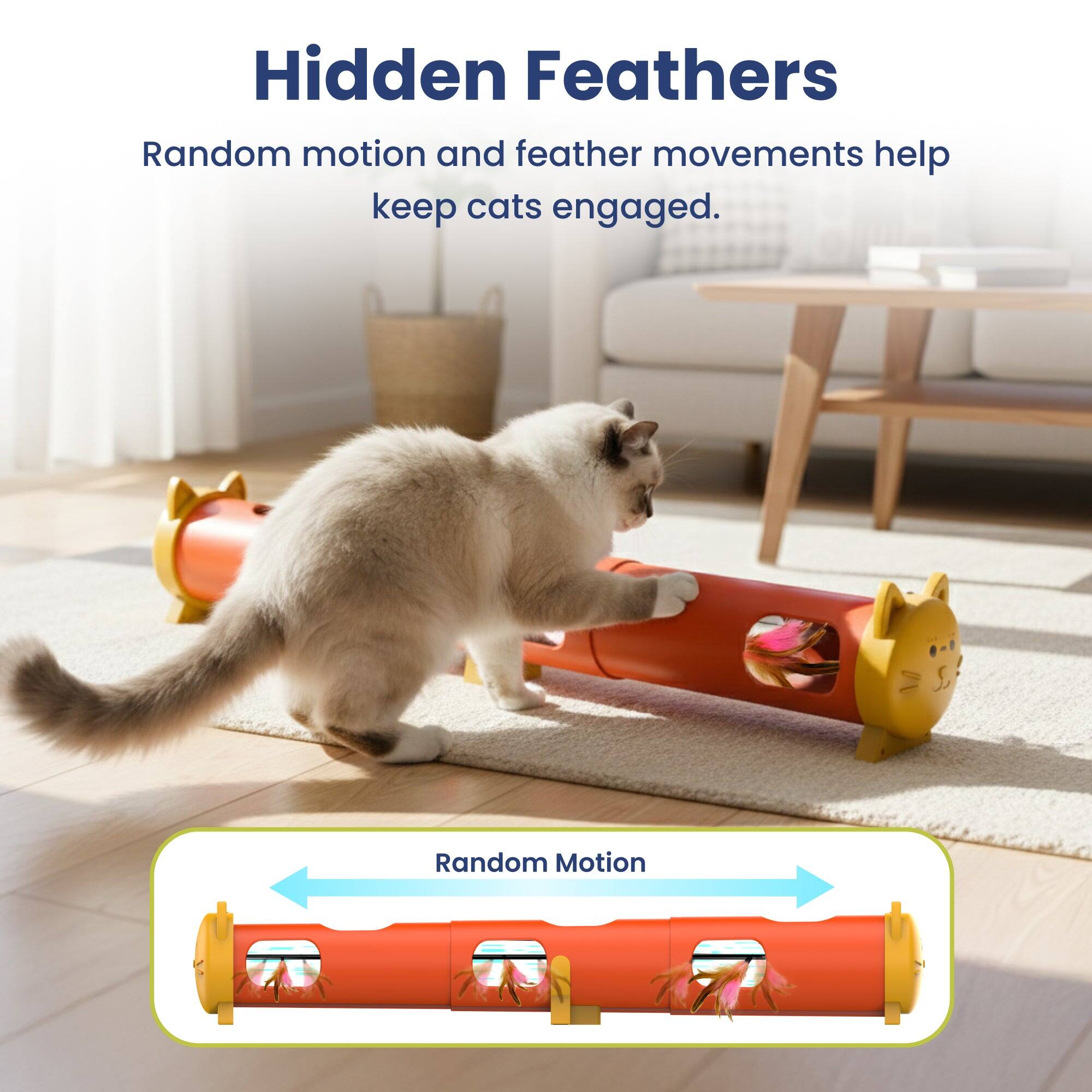 Hidden Feathers  
Random motion and feather movements help keep cats engaged.  
Random Motion