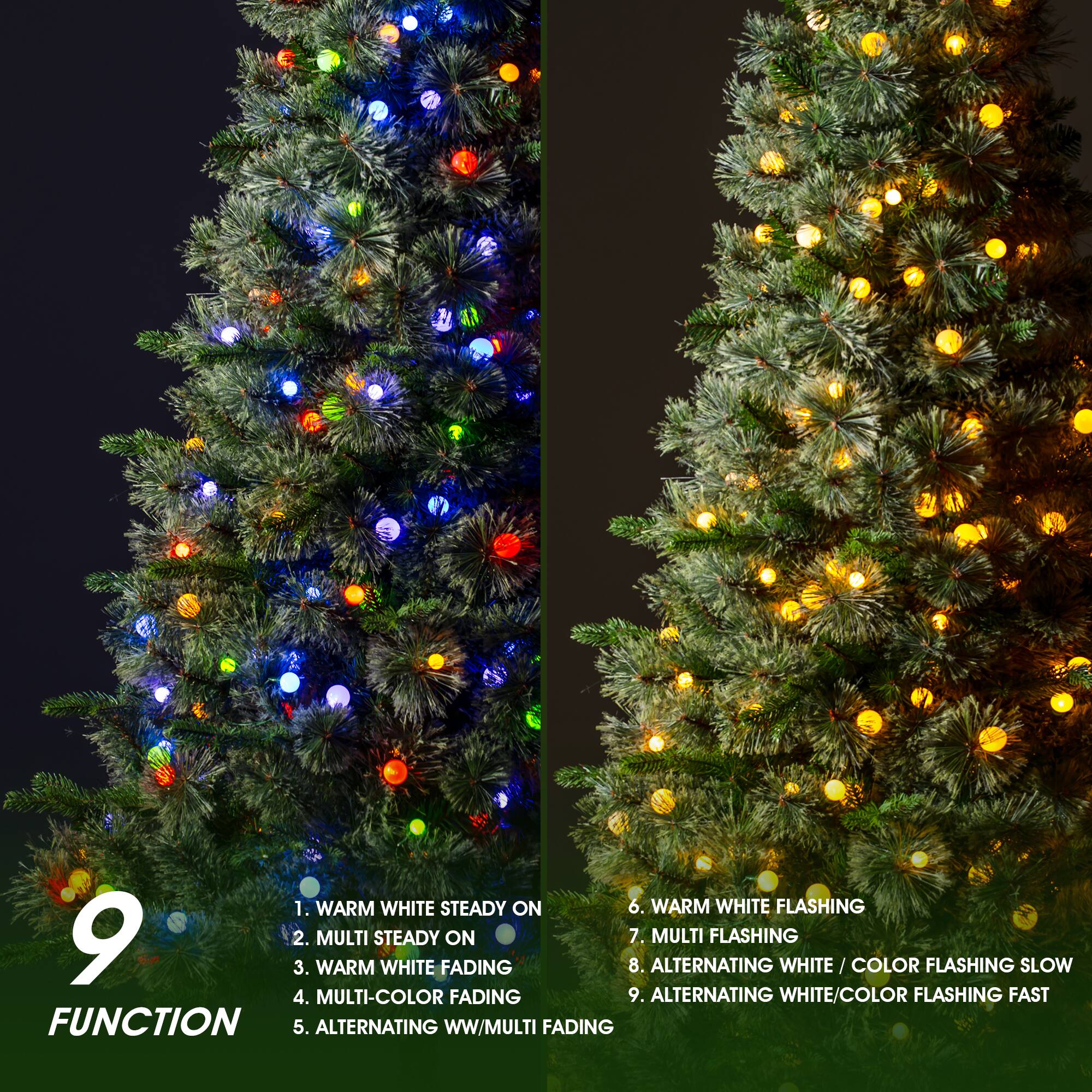 1. WARM WHITE STEADY ON
2. MULTI STEADY ON
3. WARM WHITE FADING
4. MULTI-COLOR FADING
5. ALTERNATING WW/MULTI FADING
6. WARM WHITE FLASHING
7. MULTI FLASHING
8. ALTERNATING WHITE/COLOR FLASHING SLOW
9. ALTERNATING WHITE/COLOR FLASHING FAST