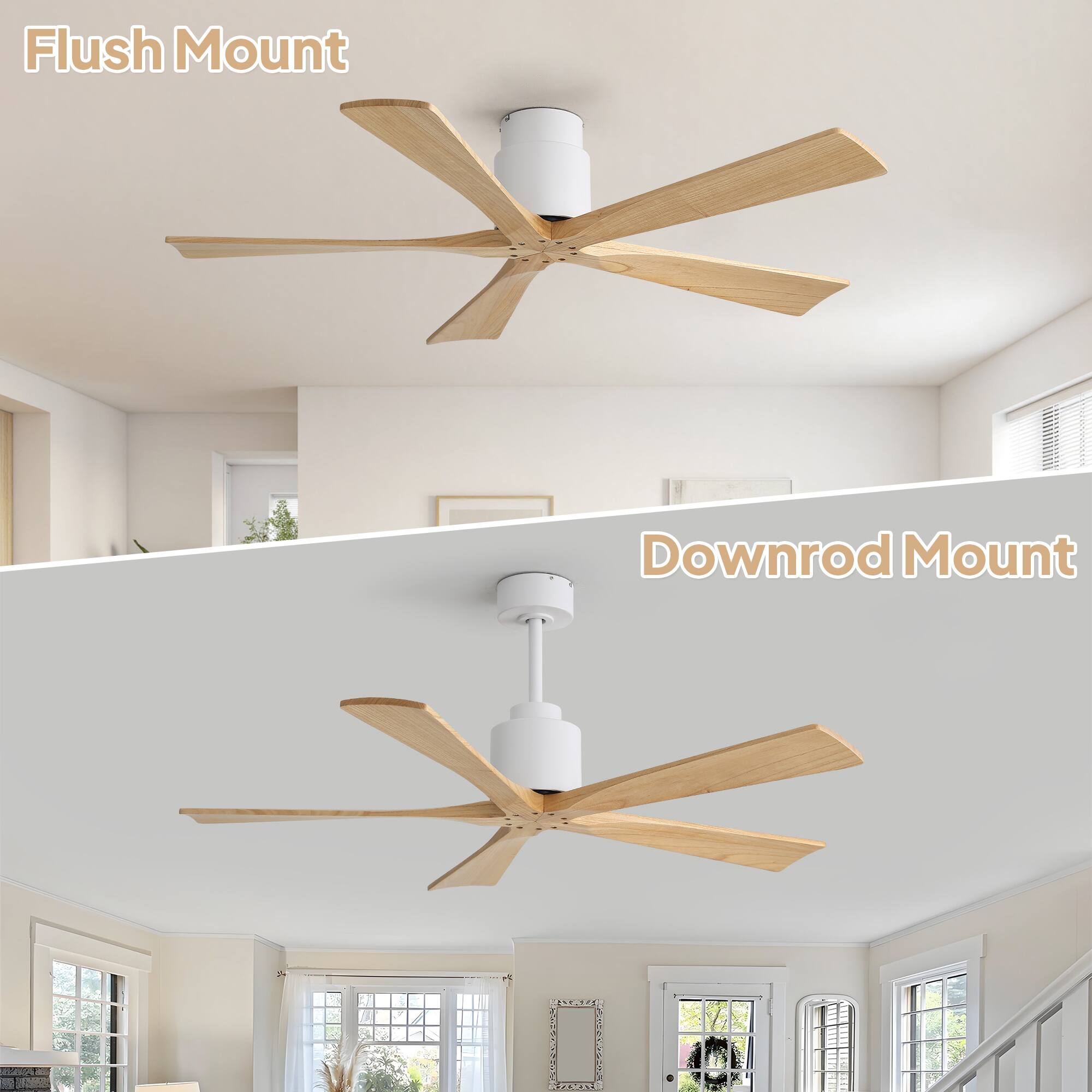 Flush Mount  
Downrod Mount