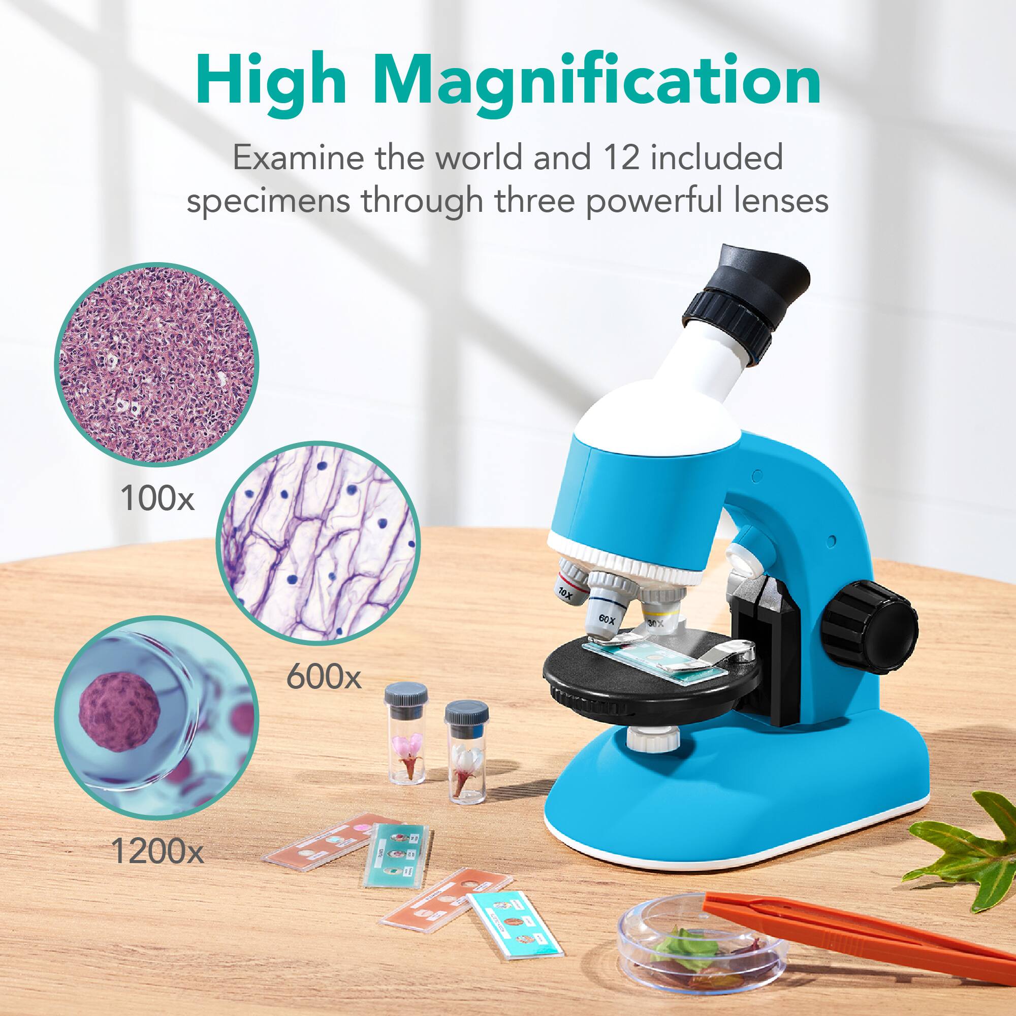 High Magnification  
Examine the world and 12 included specimens through three powerful lenses  
100x  
600x  
1200x