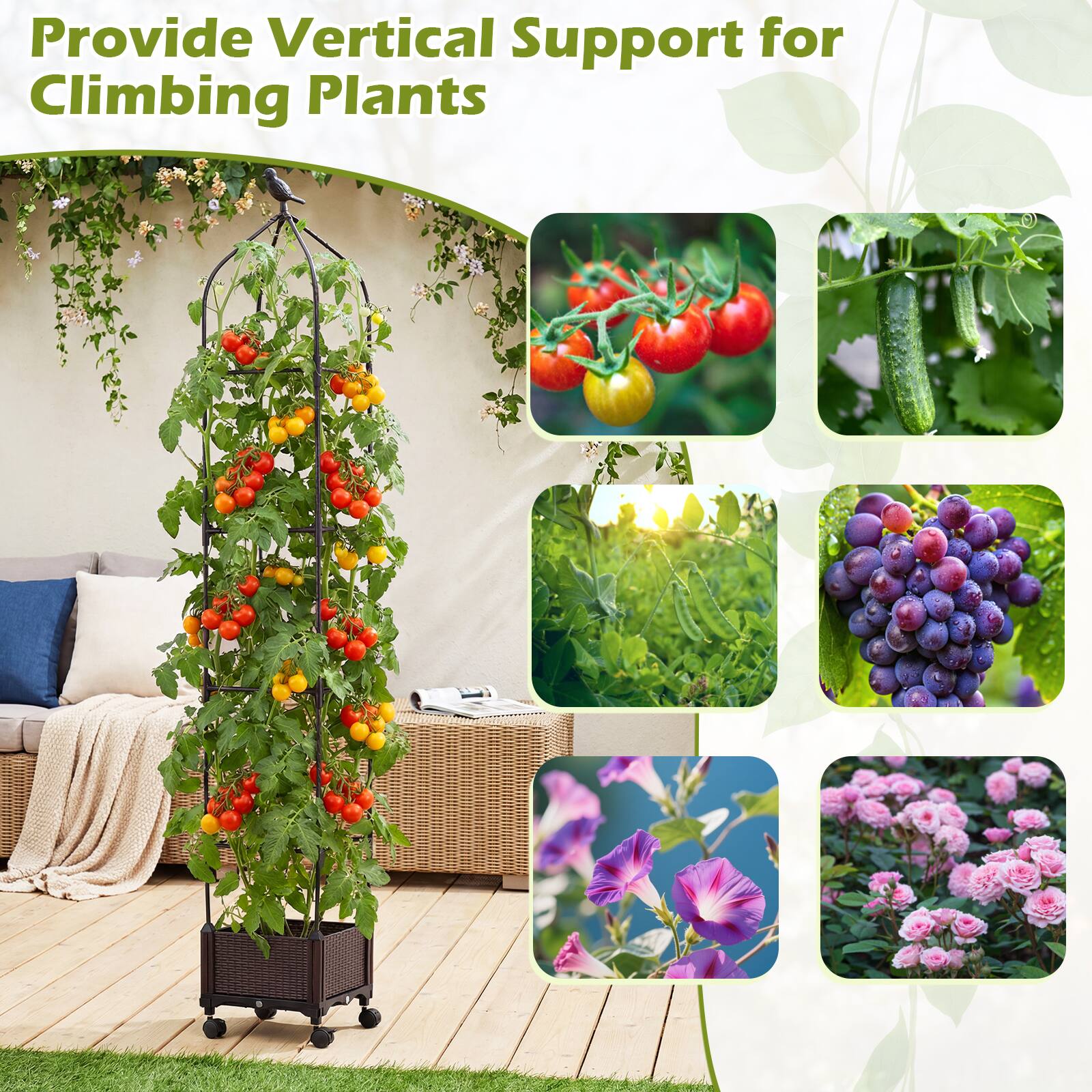 Provide Vertical Support for Climbing Plants