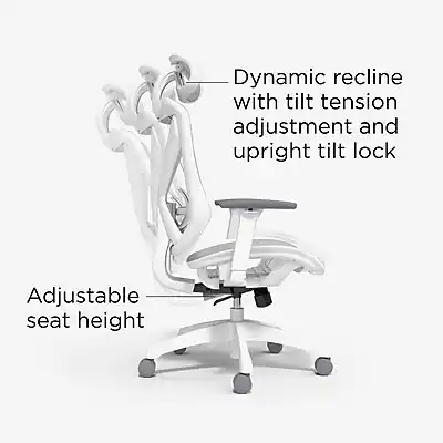 Staples Hyperflex Chair Staples Dexley Ergonomic Mesh Swivel Task Chair, (UN61365) Gray ST63113 ...