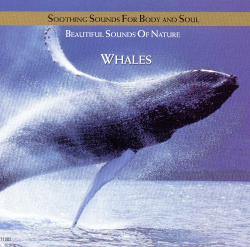  Whales [Platinum Disc] [CD]