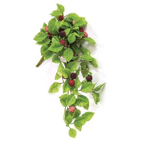 Front. BreeBe - Fresh Raspberries Hanging Bush - 22" - Green.